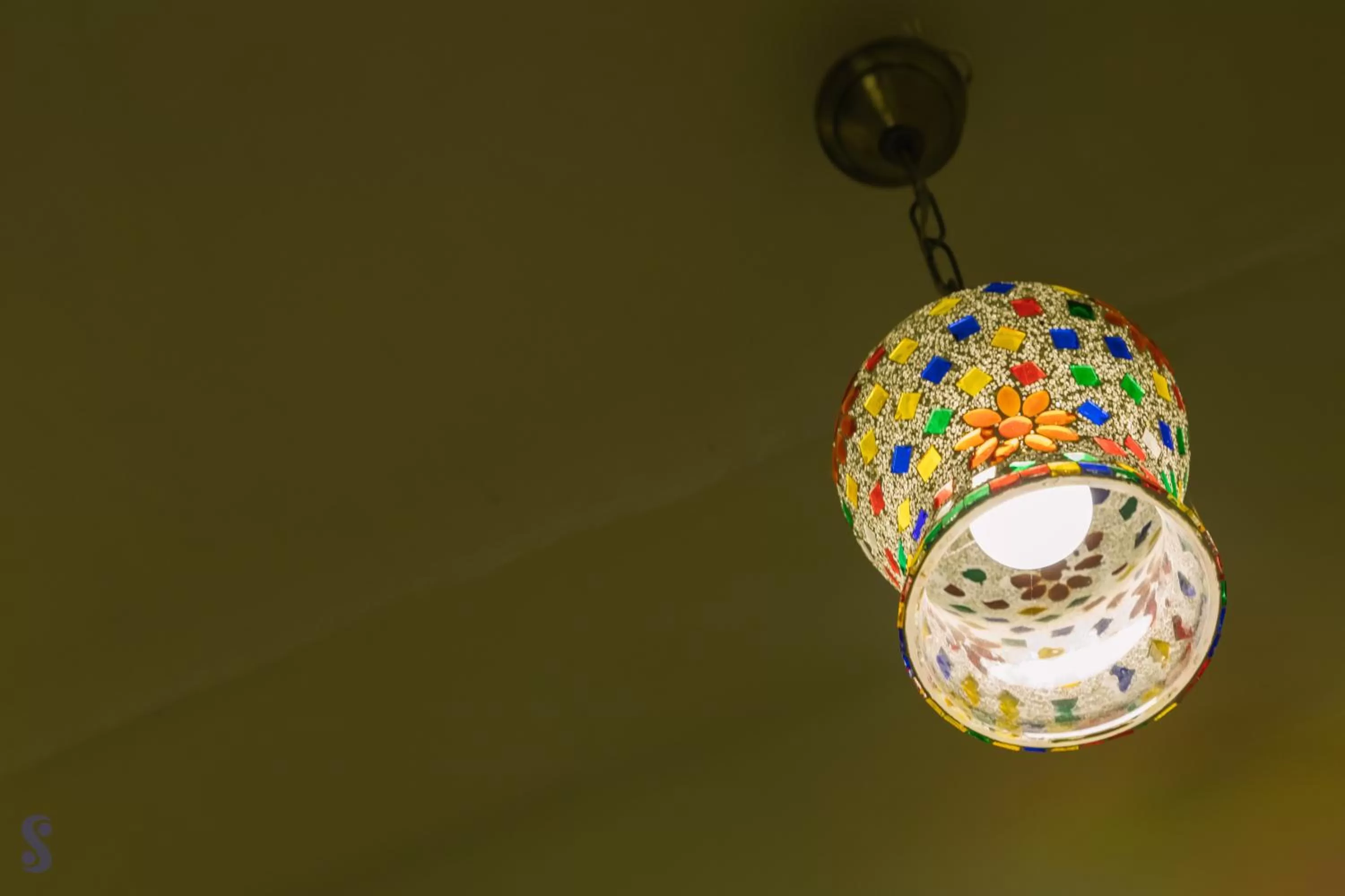 Decorative detail in Safarnama Varanasi