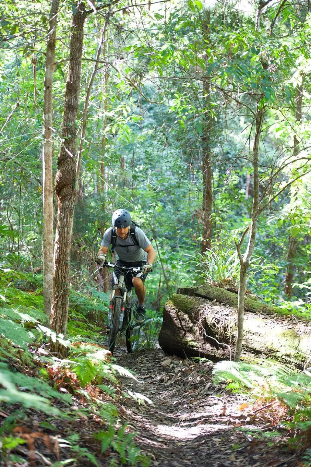 Day, Biking in Clarendon Forest Retreat