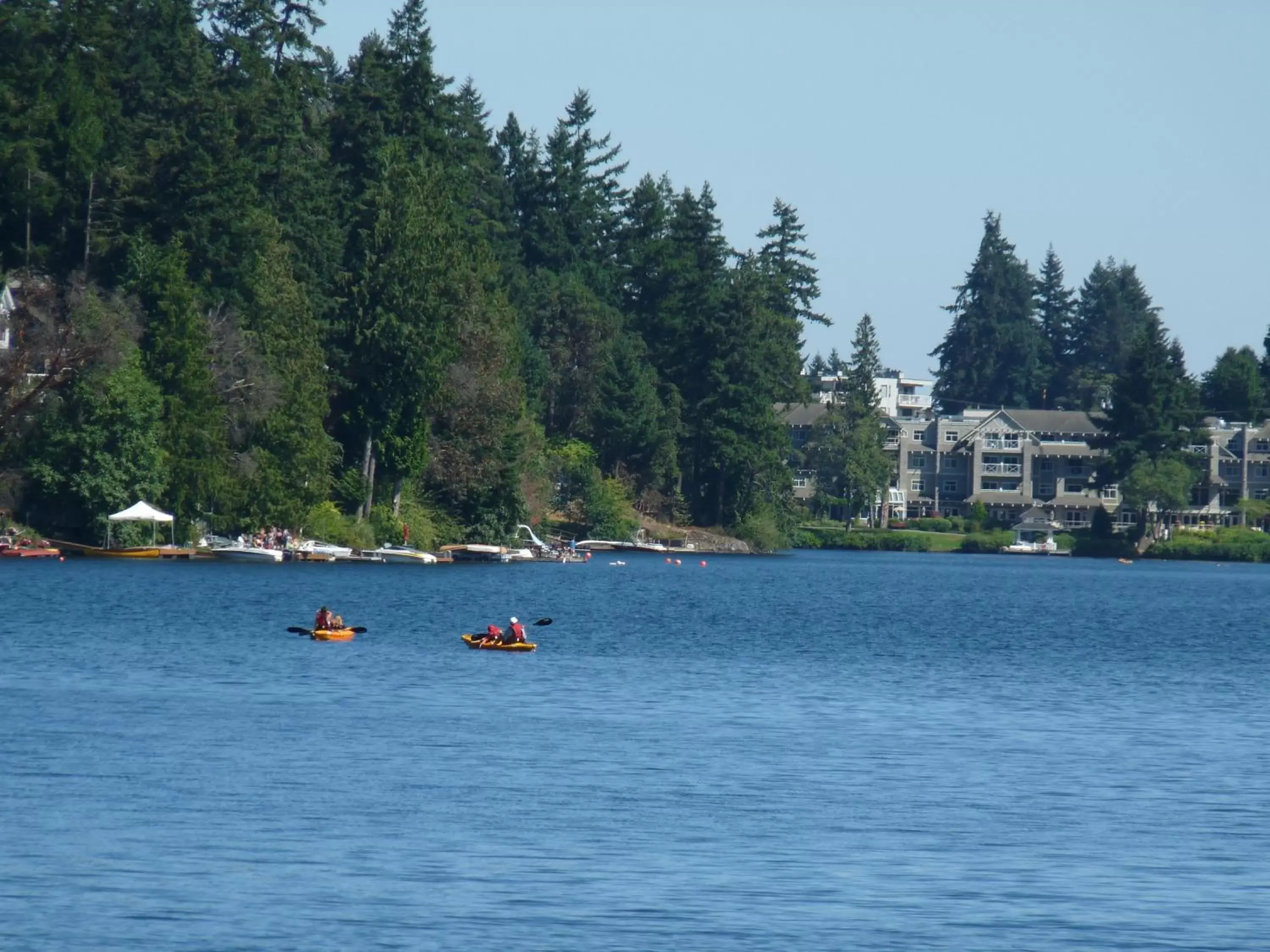 Lake view in Inn on Long Lake