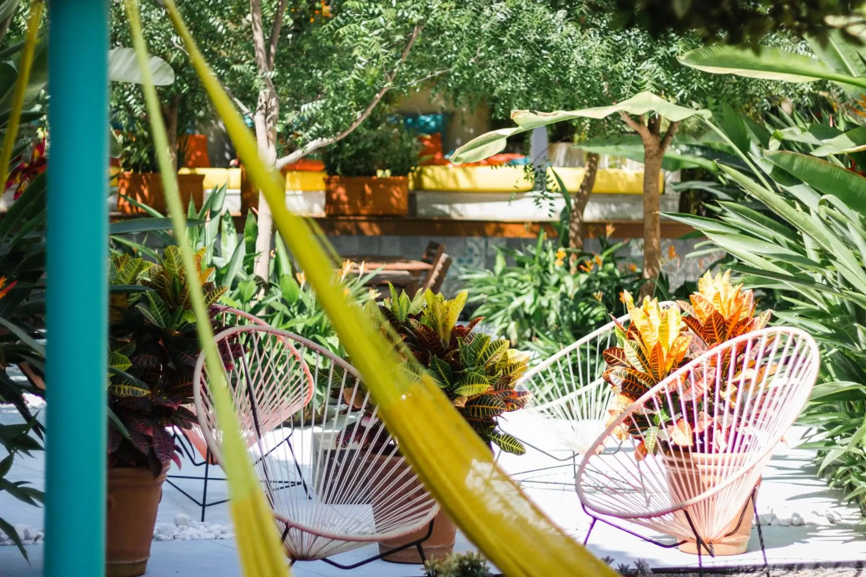 Patio in San Trópico Boutique Hotel & Peaceful Escape