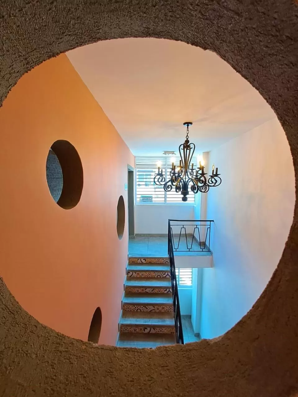 Property building in Rossa Palma