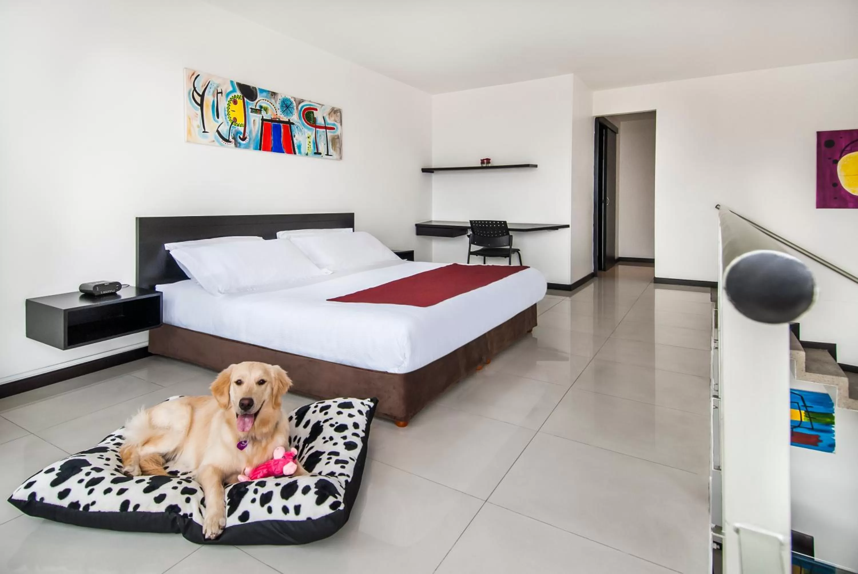 Pets, Bed in Travelers Orange Suites