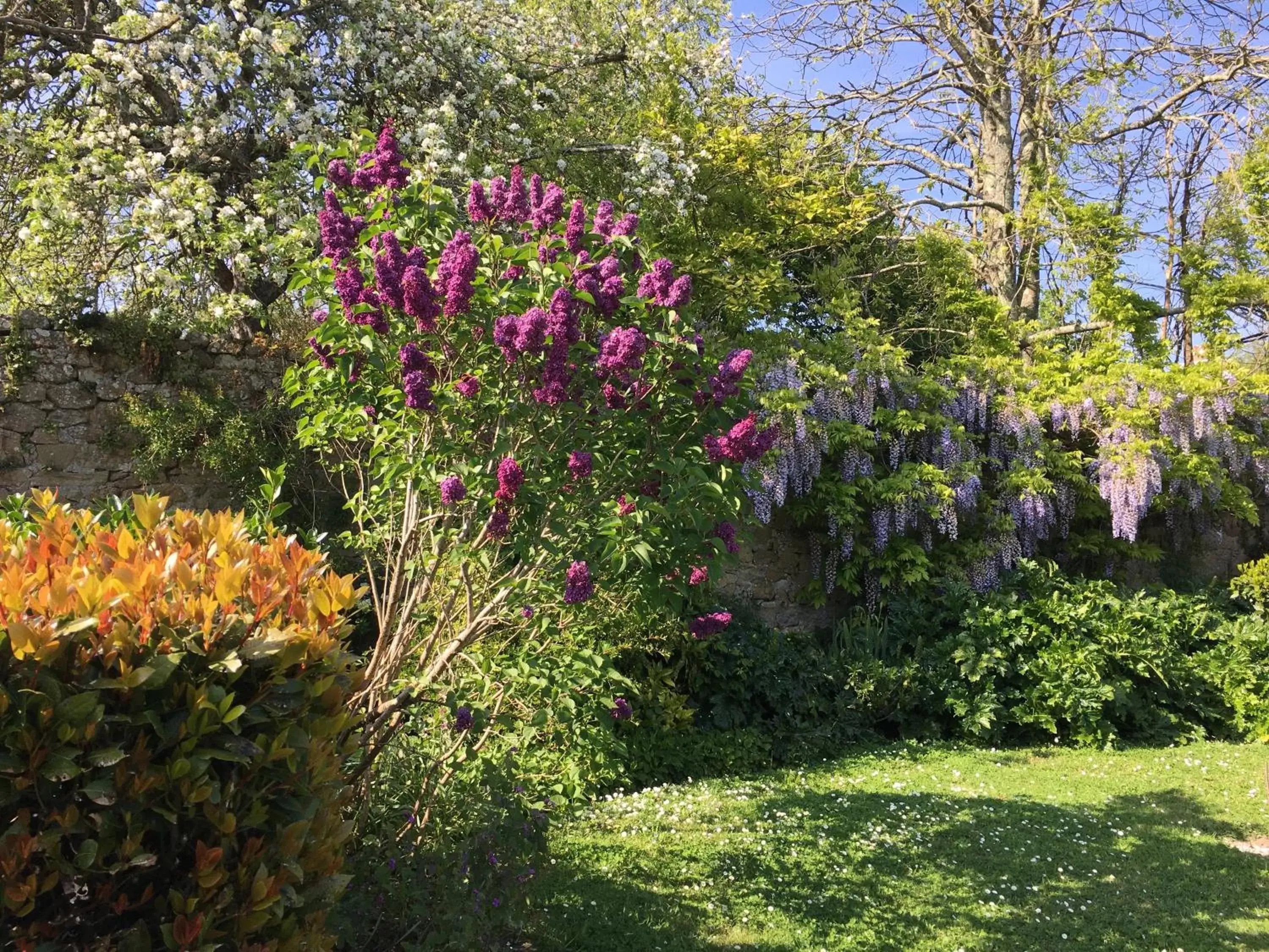 Garden in La Ferme de Kérivoas