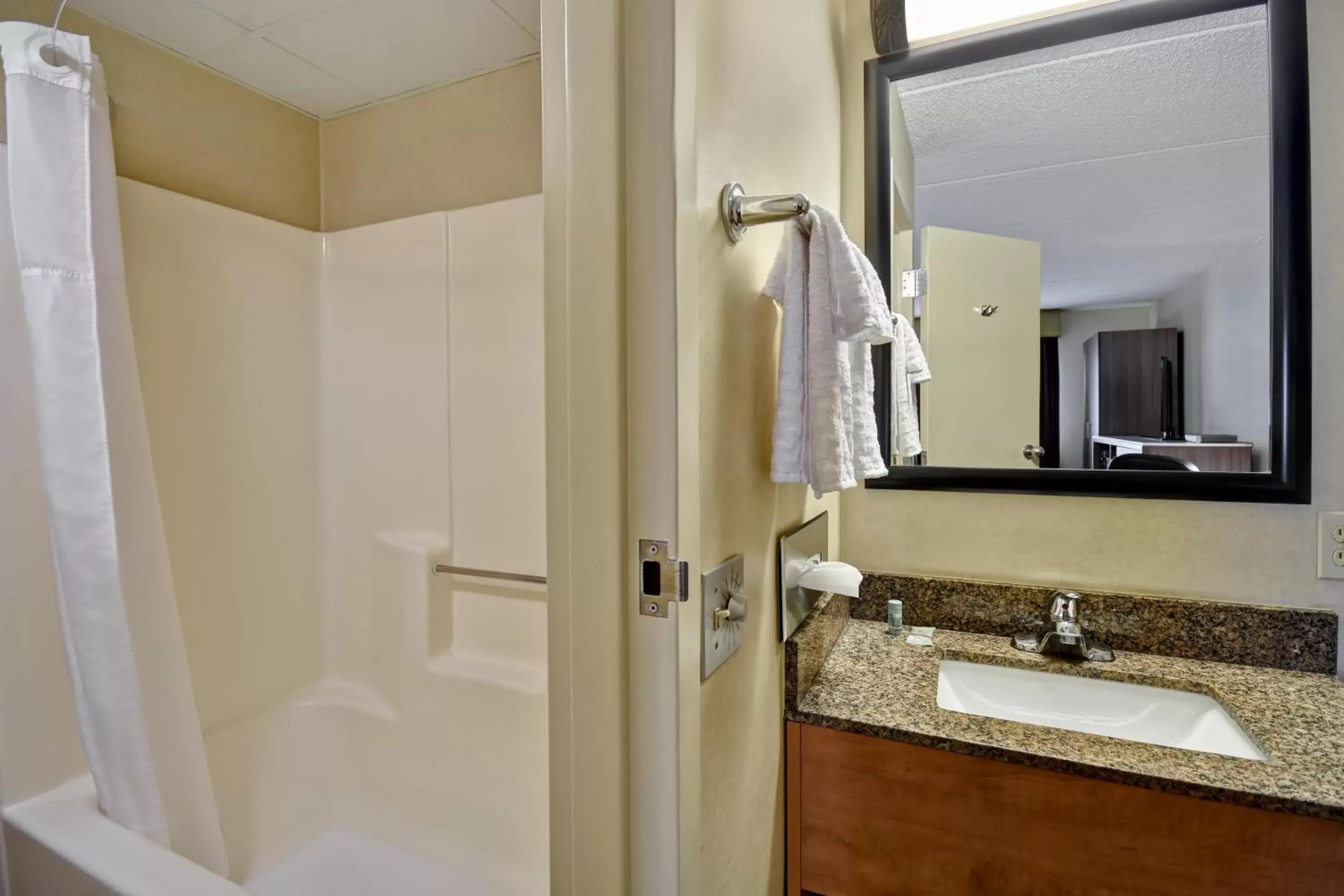 Bathroom in Best Western Rochester Marketplace Inn