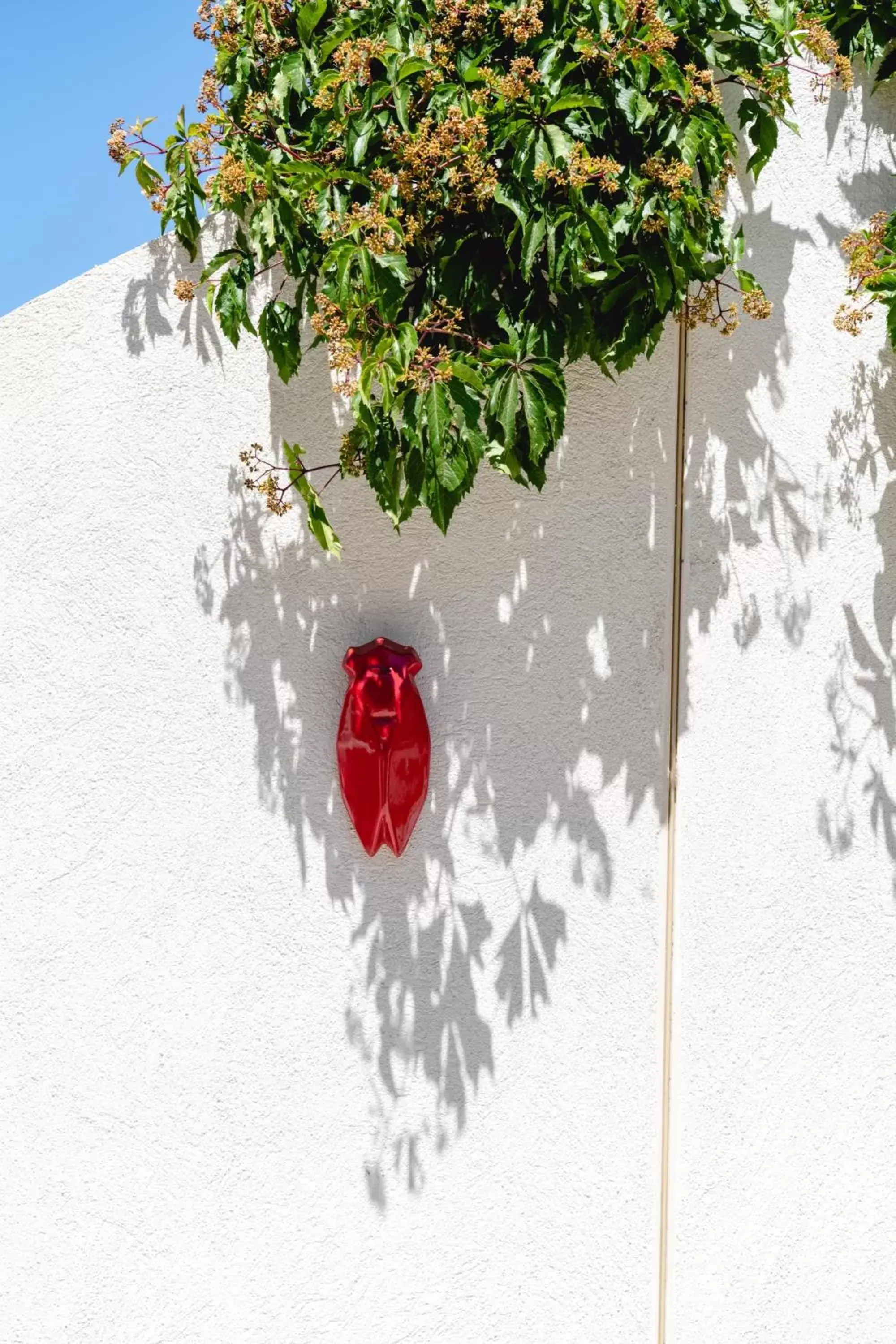 Garden in HôTEL LES VOLETS ROUGES - CASSIS