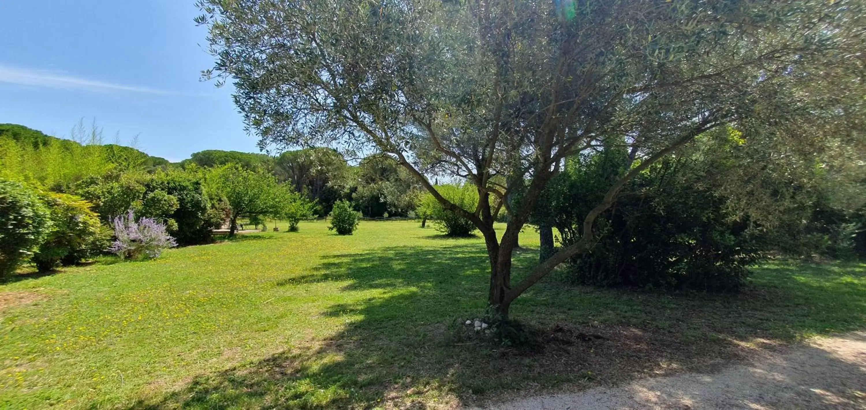 Garden in Aux berges du pont du gard