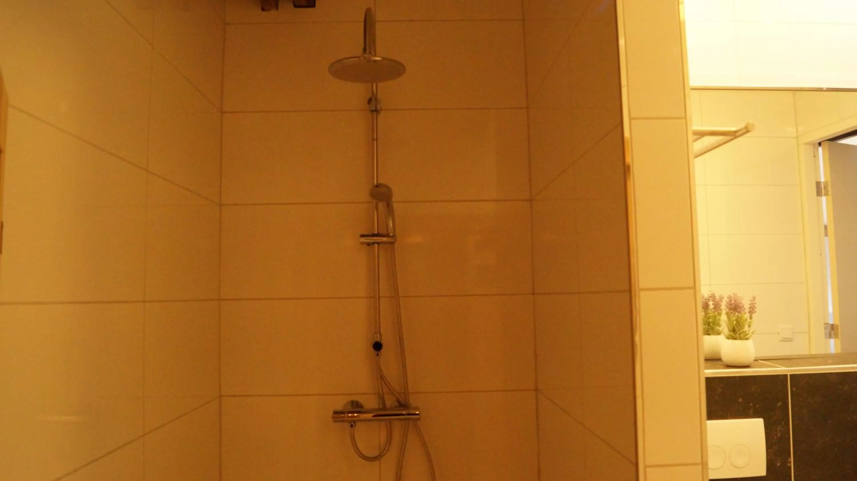 Shower in B&B Johannes-Hoeve