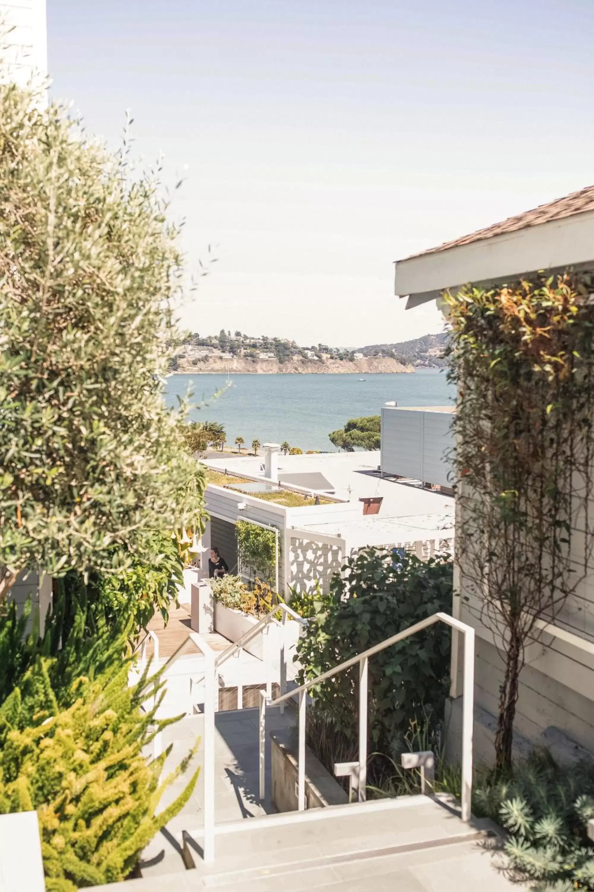 Garden view in Casa Madrona Hotel and Spa