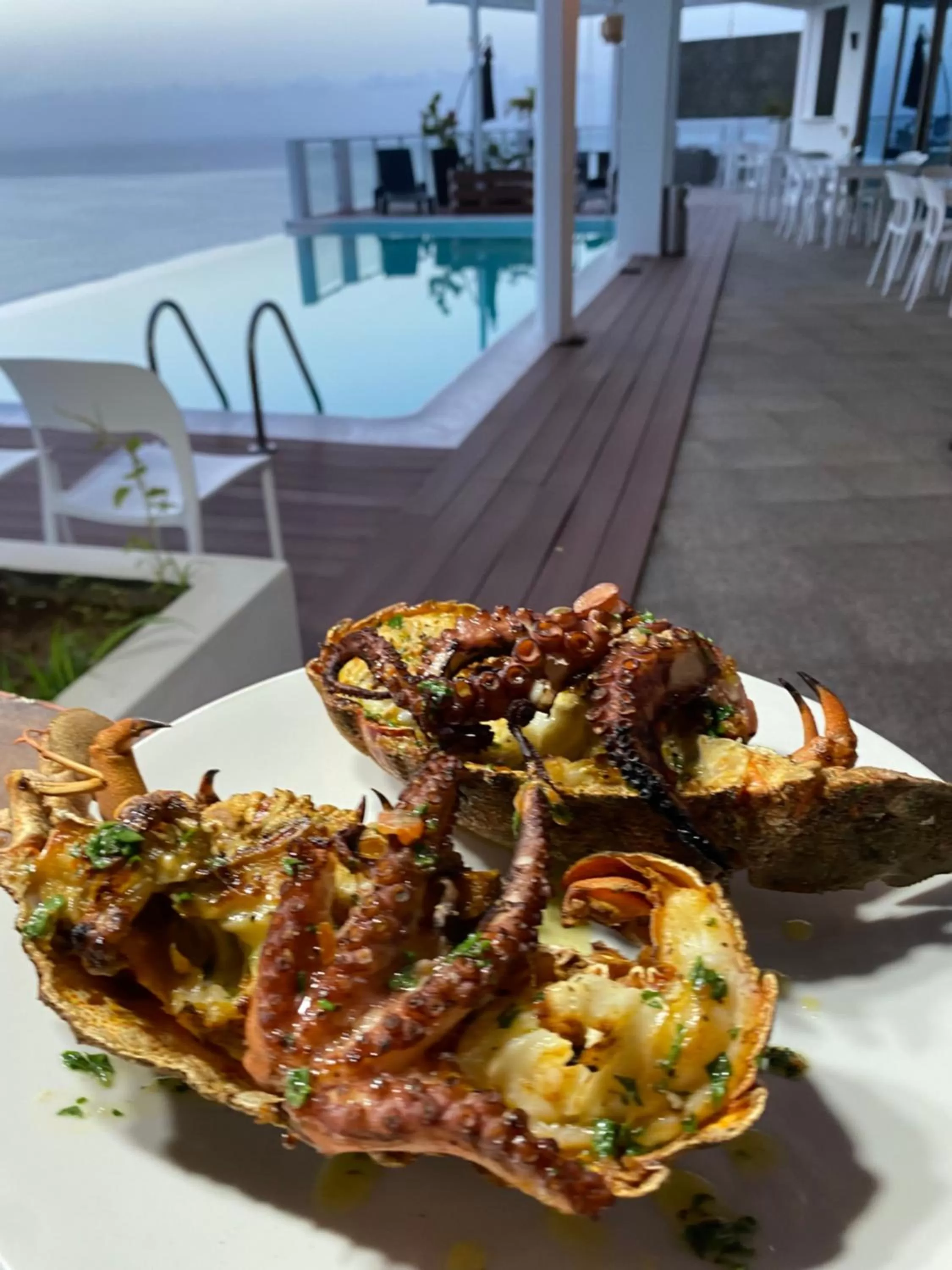 Restaurant/places to eat, Swimming Pool in Fogo Boutique Hotel