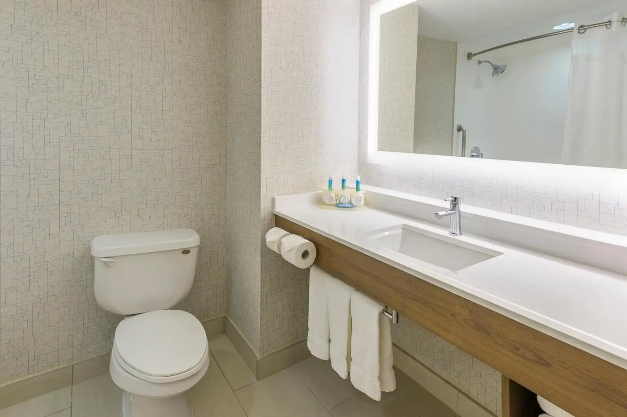 Bathroom in Holiday Inn Express Hotel & Suites North Bay, an IHG Hotel