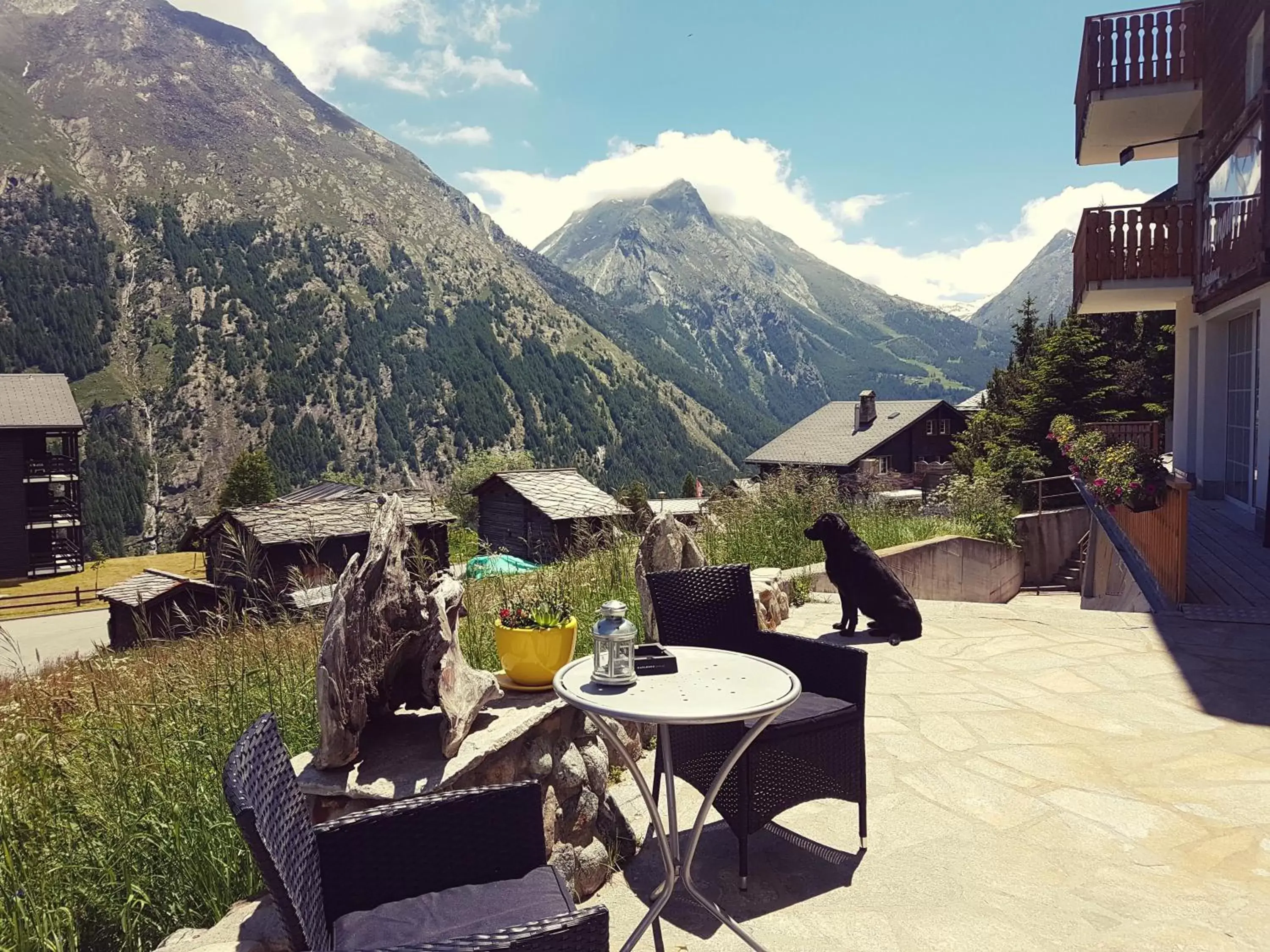 Garden, Patio/Outdoor Area in Hotel Alpenperle