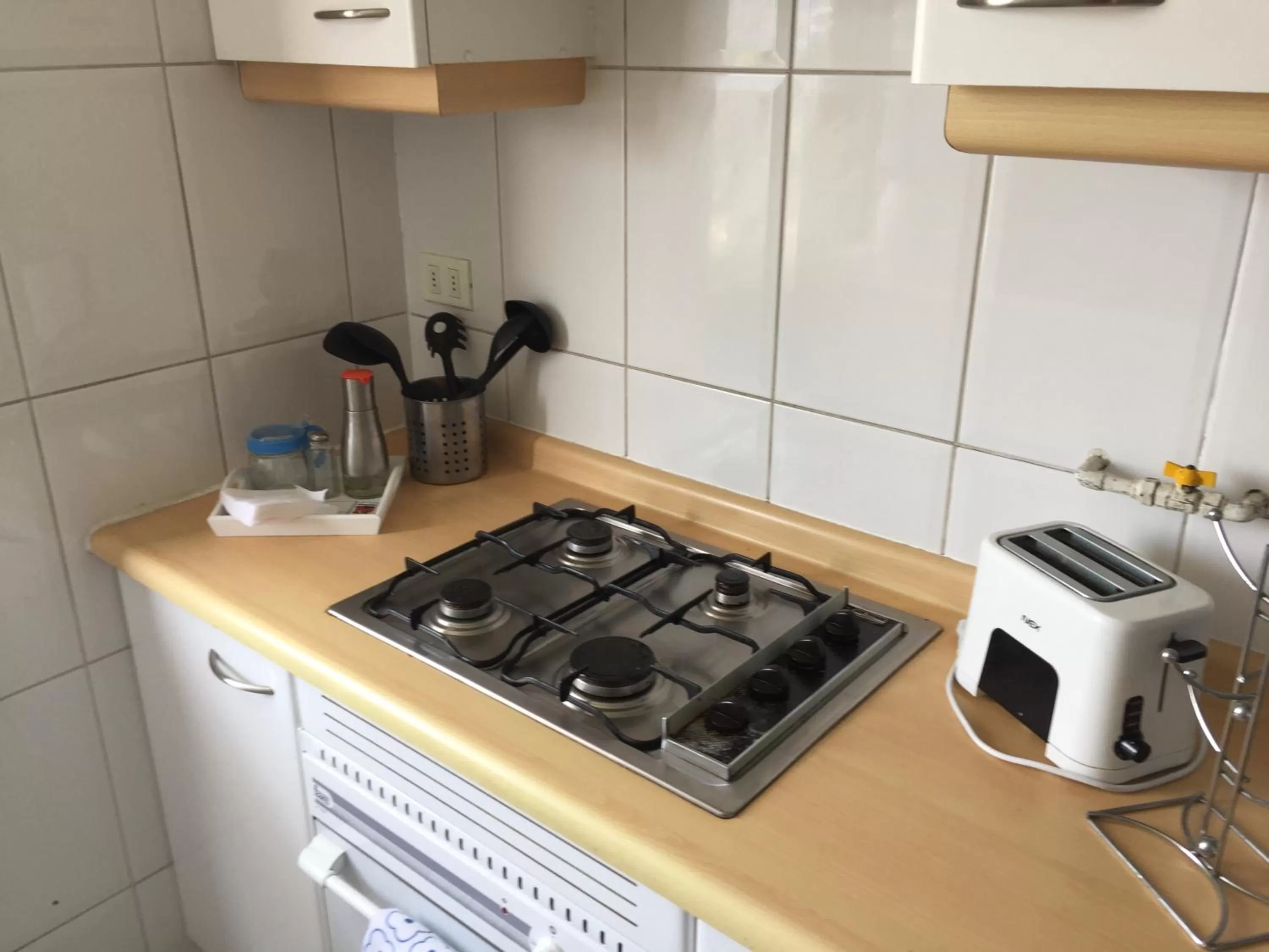 Kitchen or kitchenette in Aconcagua Apartments