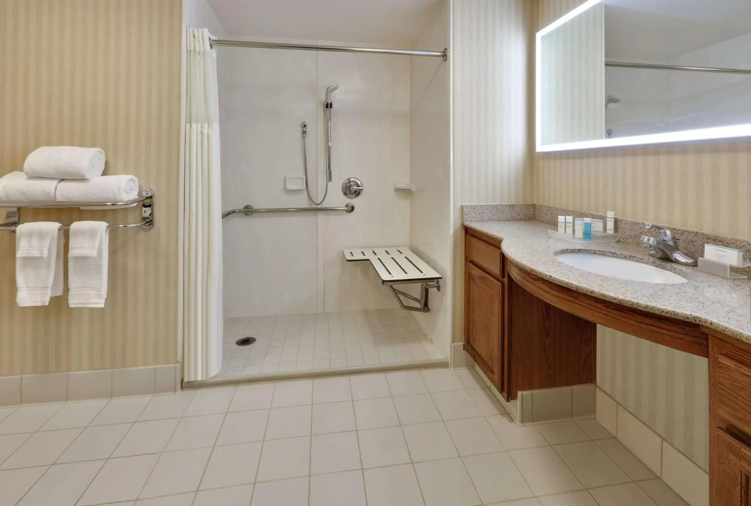 Bathroom in Homewood Suites by Hilton San Diego-Del Mar