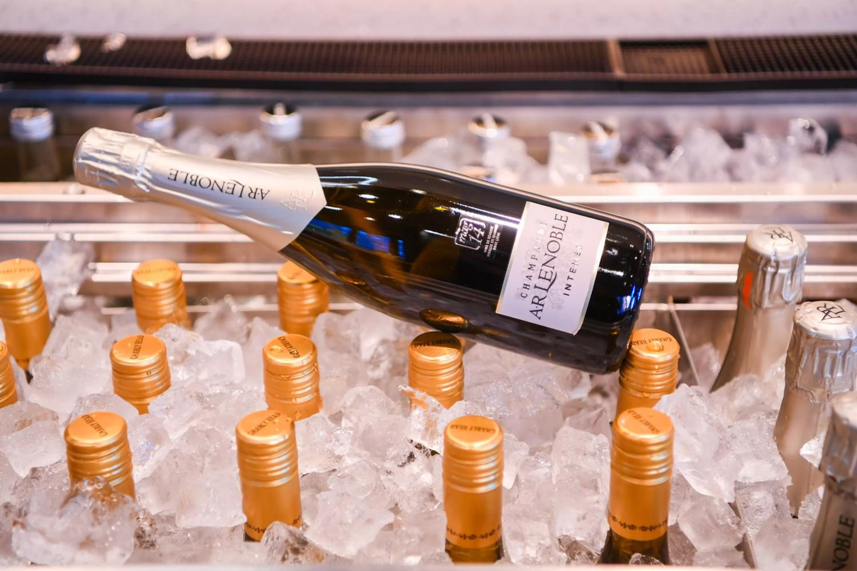 Alcoholic drinks in BEI Zhaolong Hotel, JdV by Hyatt