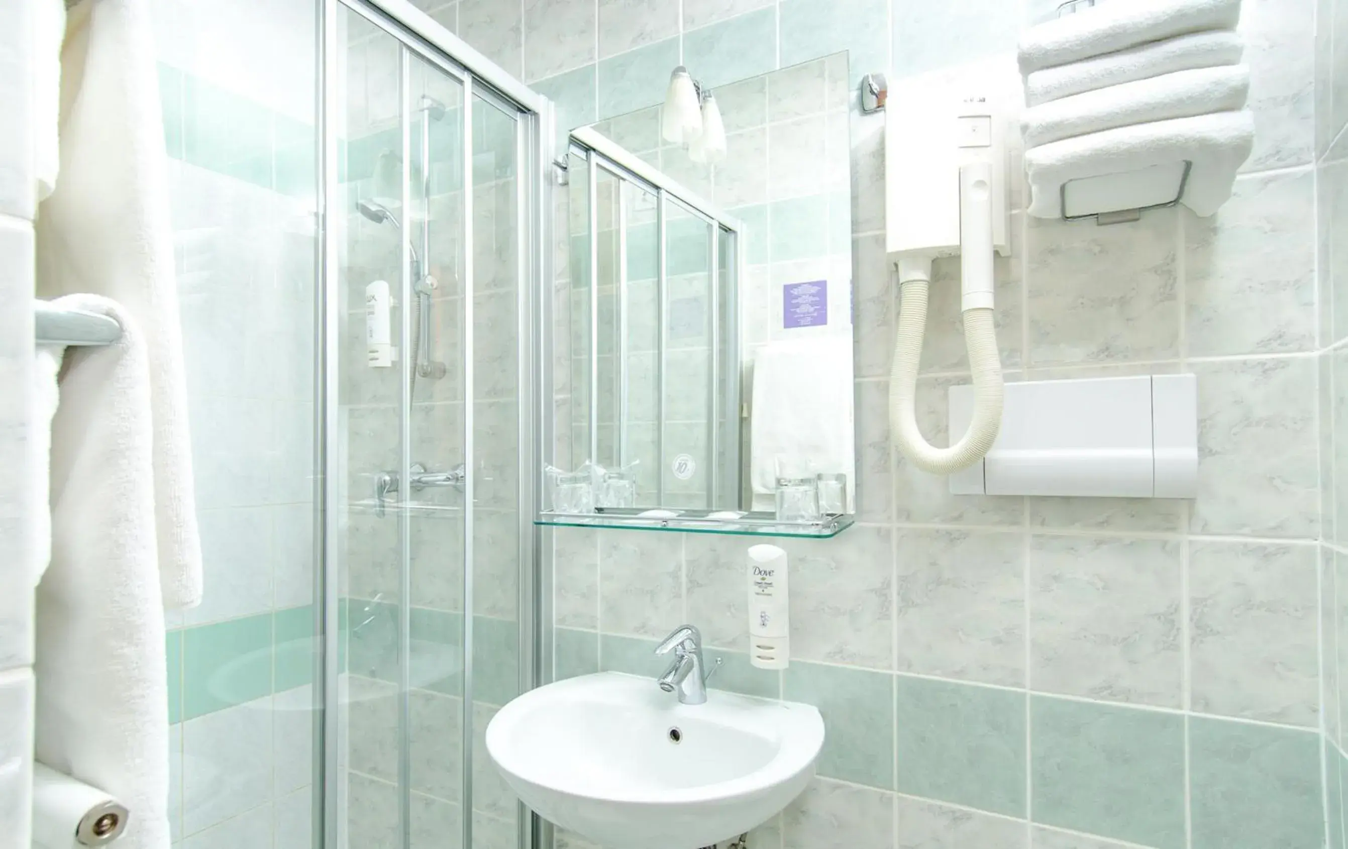 Bathroom in Hotel Punta