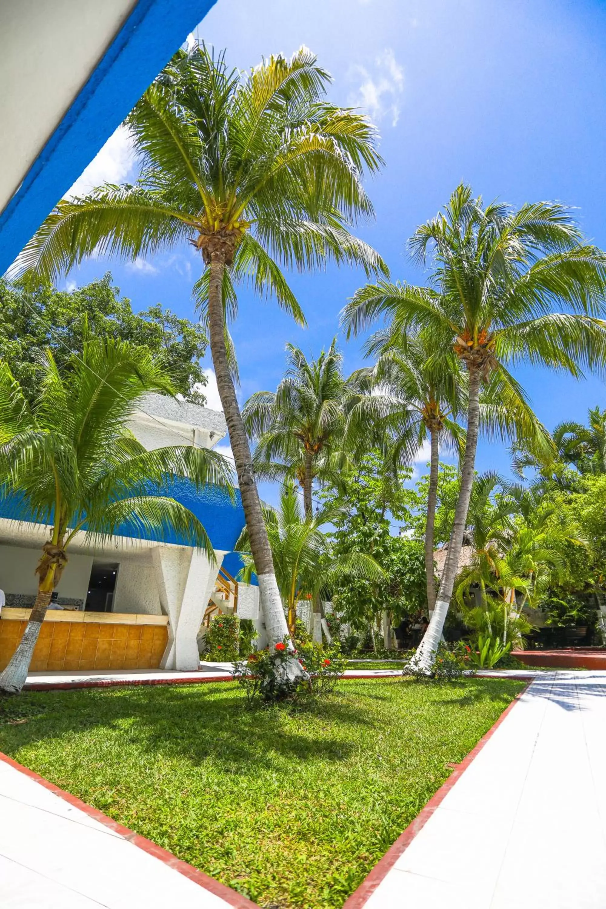 Natural landscape in Hotel Caribe Internacional Cancun