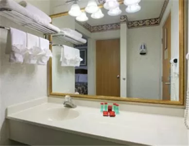 Bathroom in Ramada by Wyndham Columbia