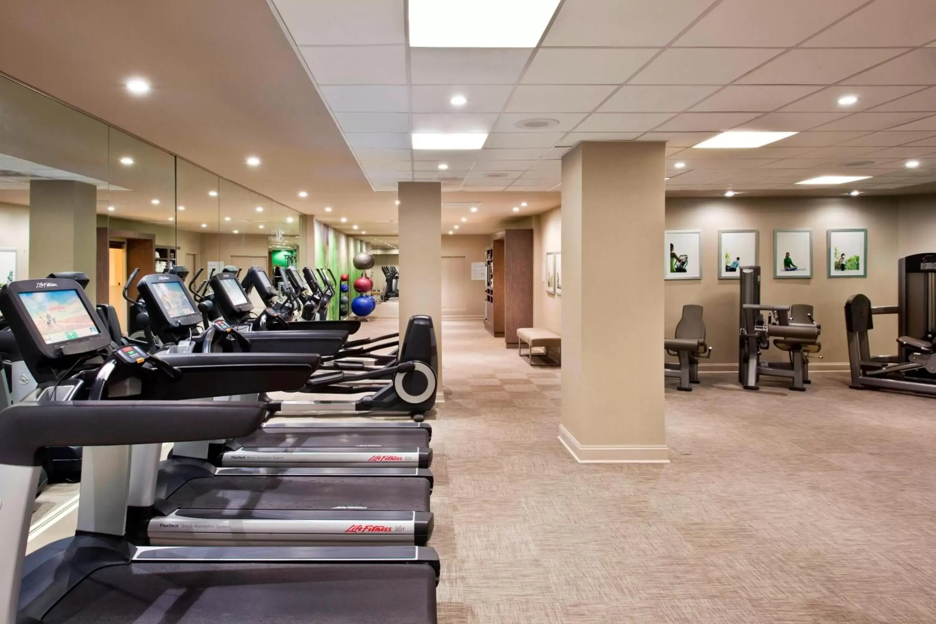 Fitness centre/facilities, Fitness Center/Facilities in The Westin Washington, D.C. City Center