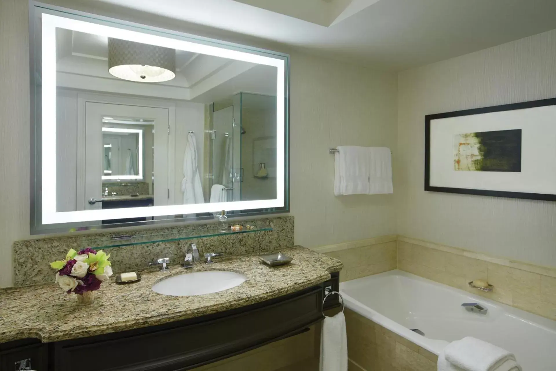 Other, Bathroom in Four Seasons Hotel Las Vegas