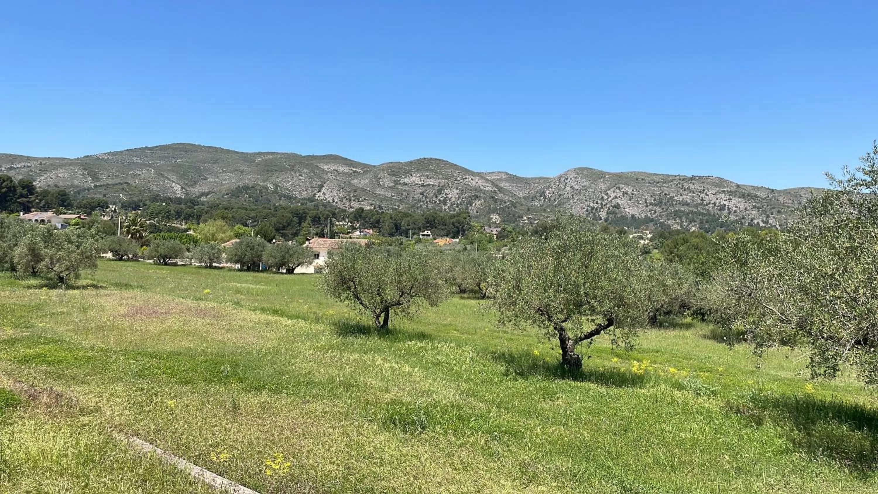 View (from property/room) in Finca La Higuera - Boutique B&B