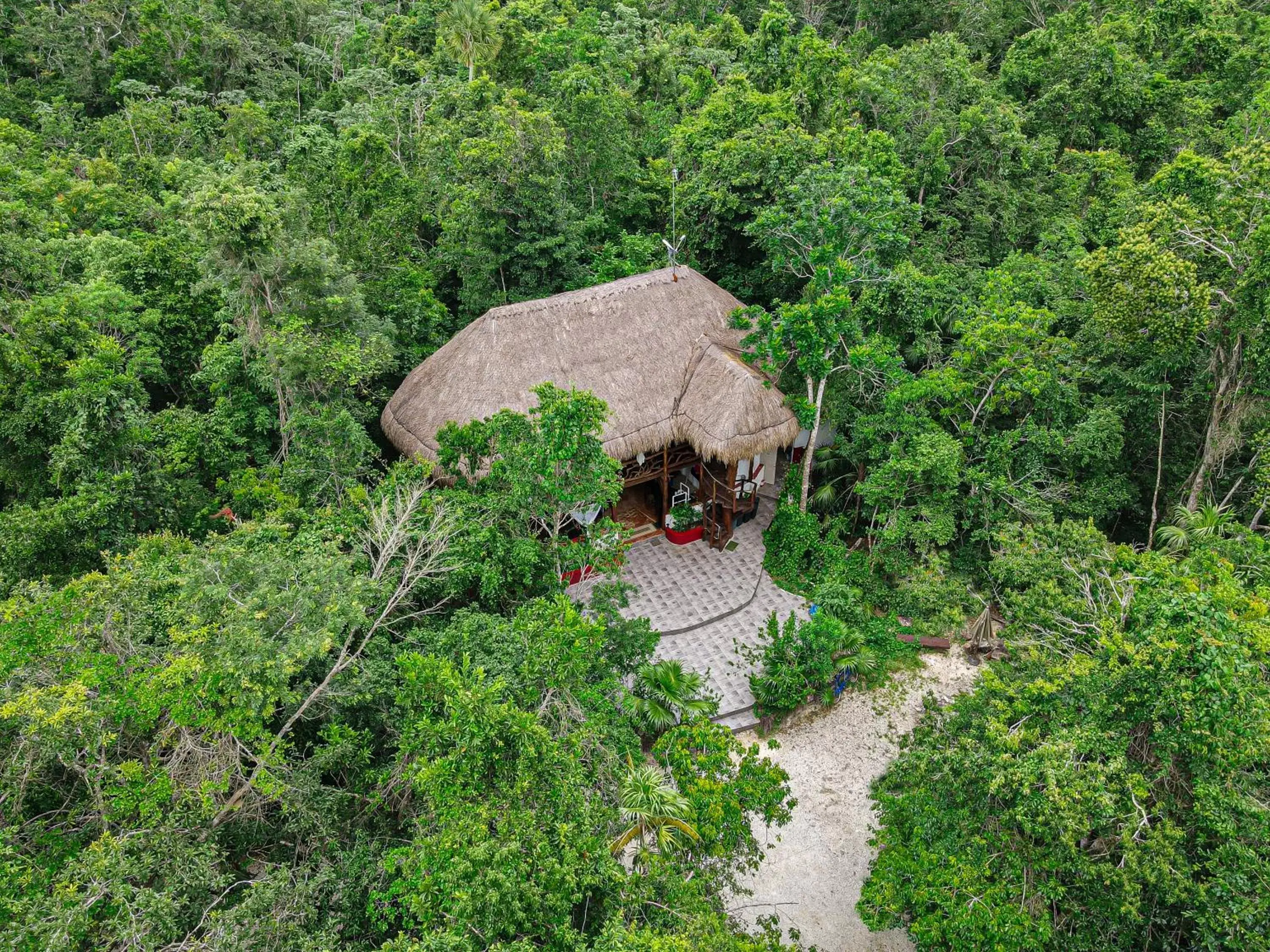Bird's eye view, Bird's-eye View in Jolie Jungle Eco Hotel