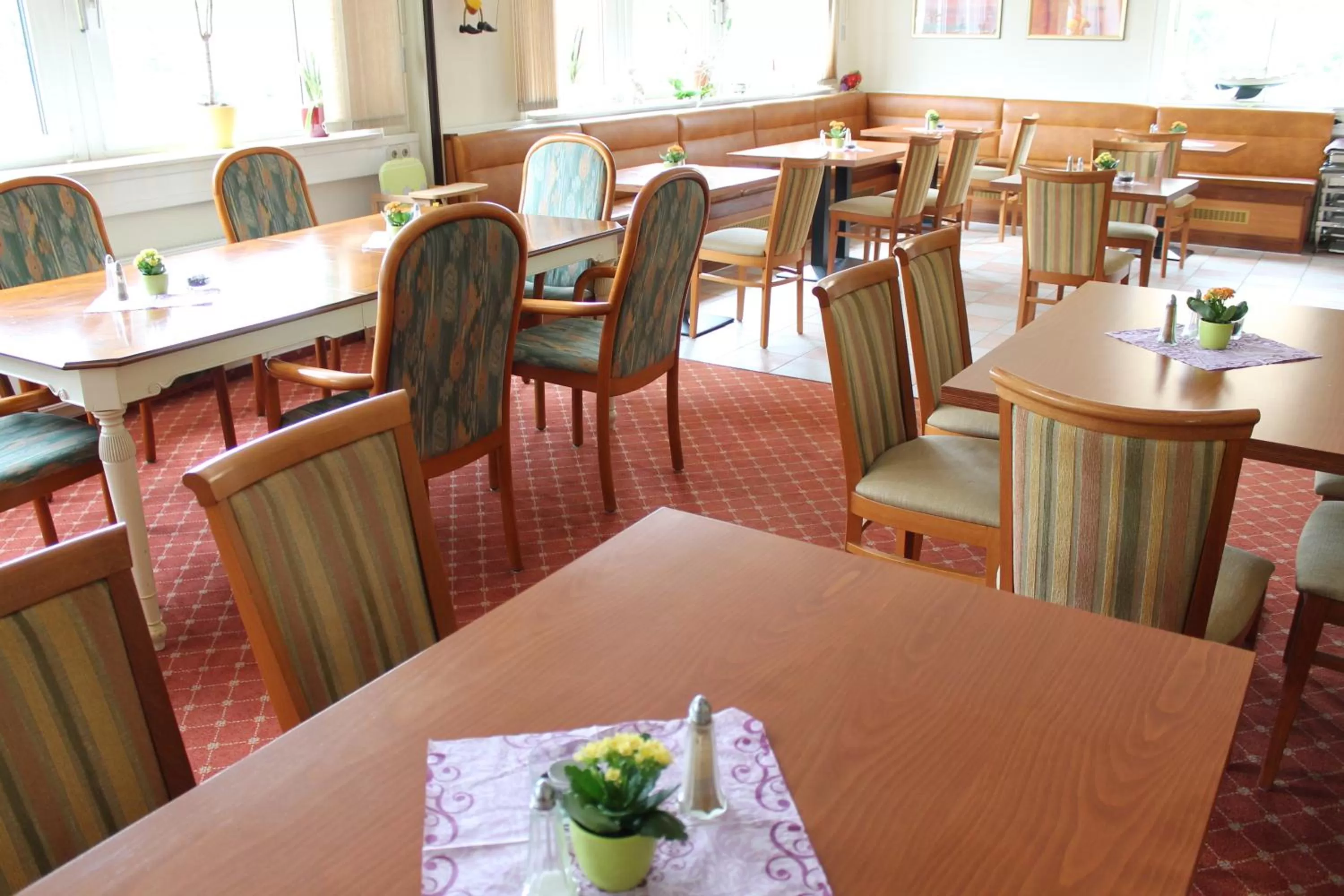 Restaurant/places to eat in Traveller Hotel