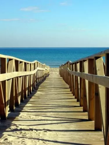 Area and facilities in Hotel Meridional