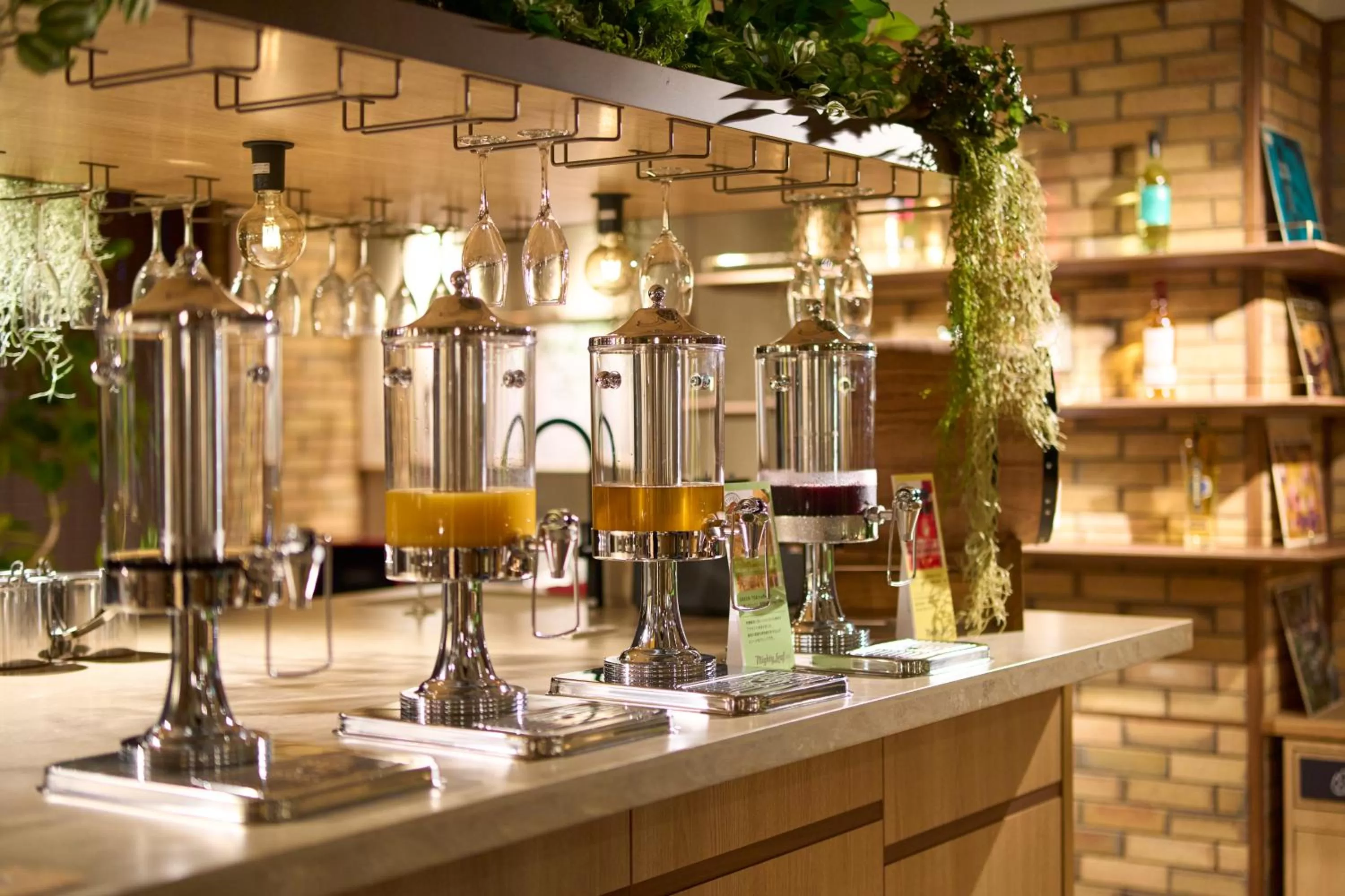 Drinks in Hotel Resol Stay Akihabara