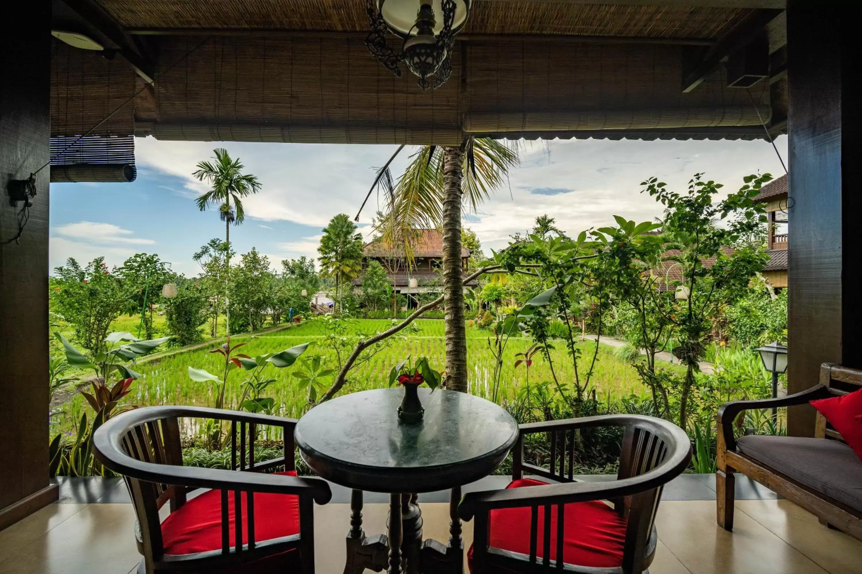 Balcony/Terrace in Bliss Ubud Spa Resort