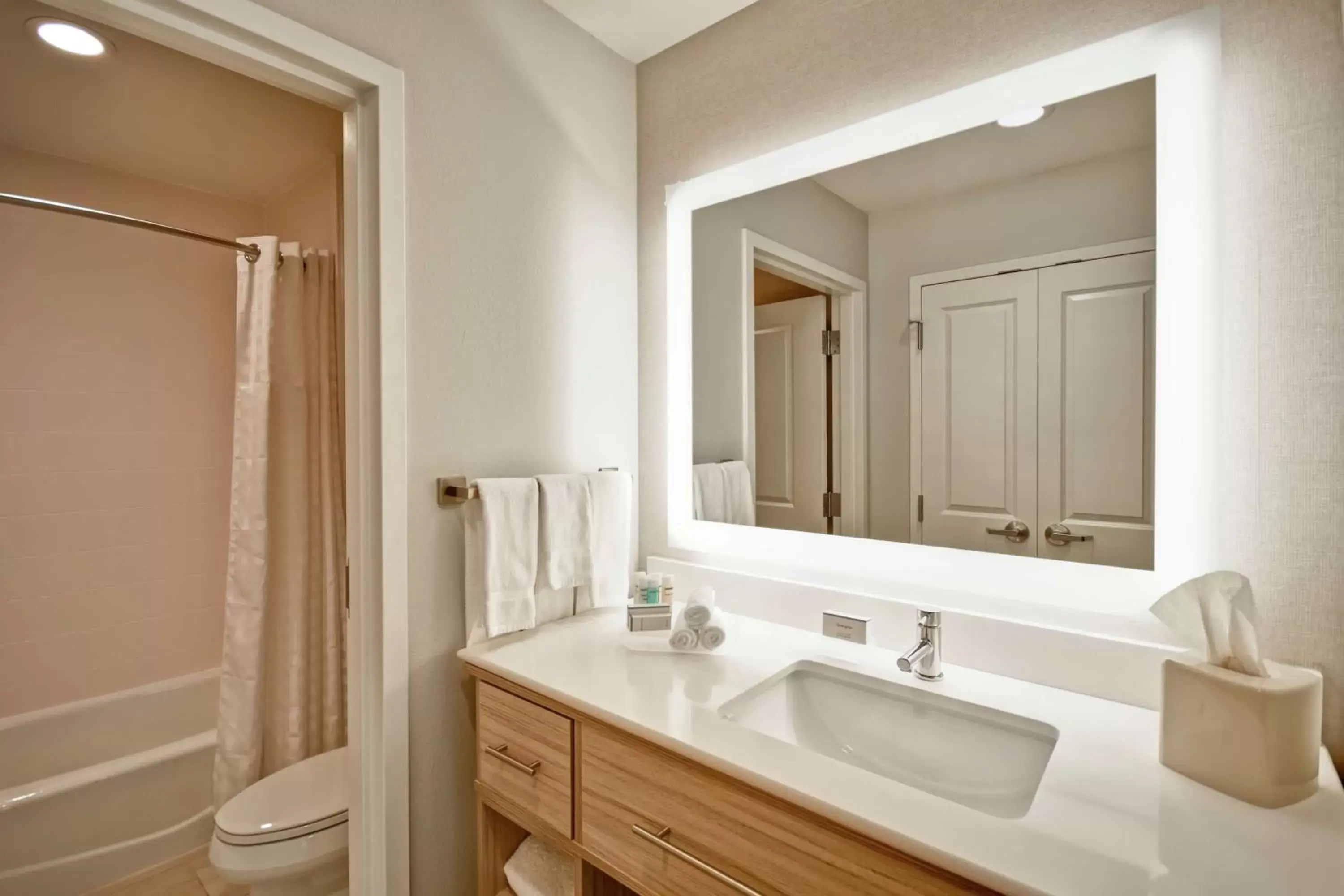 Bathroom in Homewood Suites By Hilton Greenville Downtown
