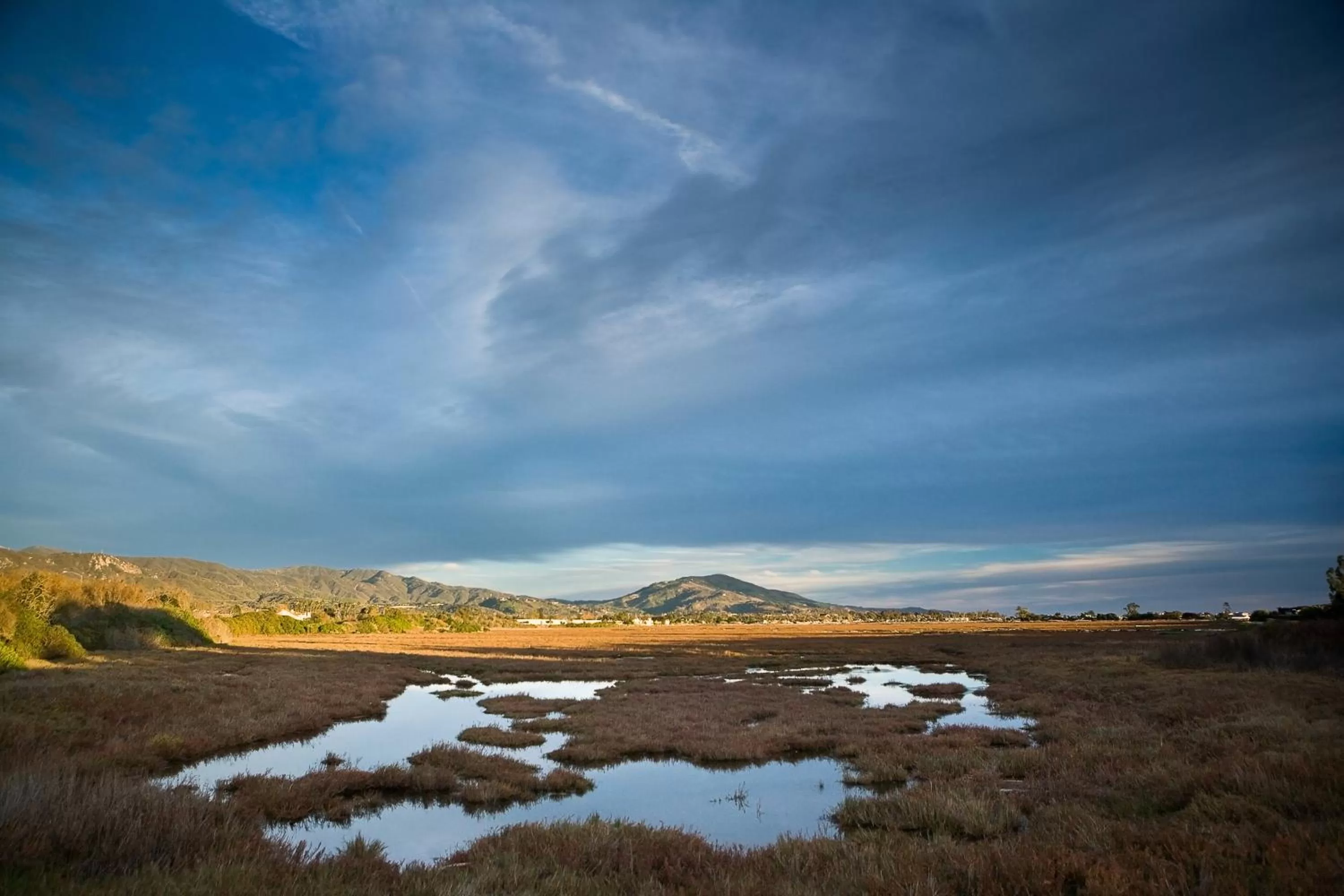 Nearby landmark in Holiday Inn Express & Suites Carpinteria by IHG