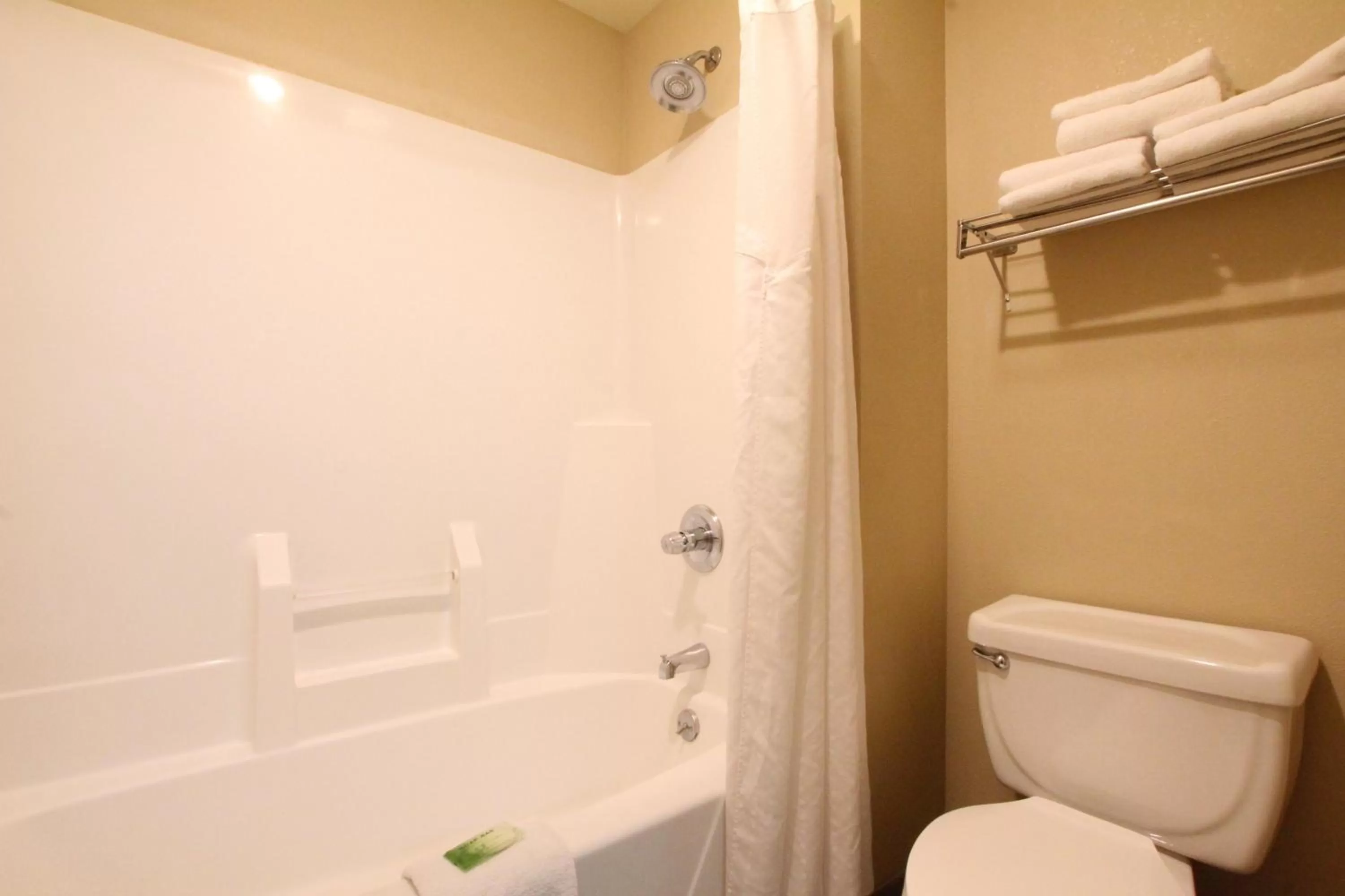 Bathroom in Holiday Inn Express & Suites Chicago-Libertyville by IHG