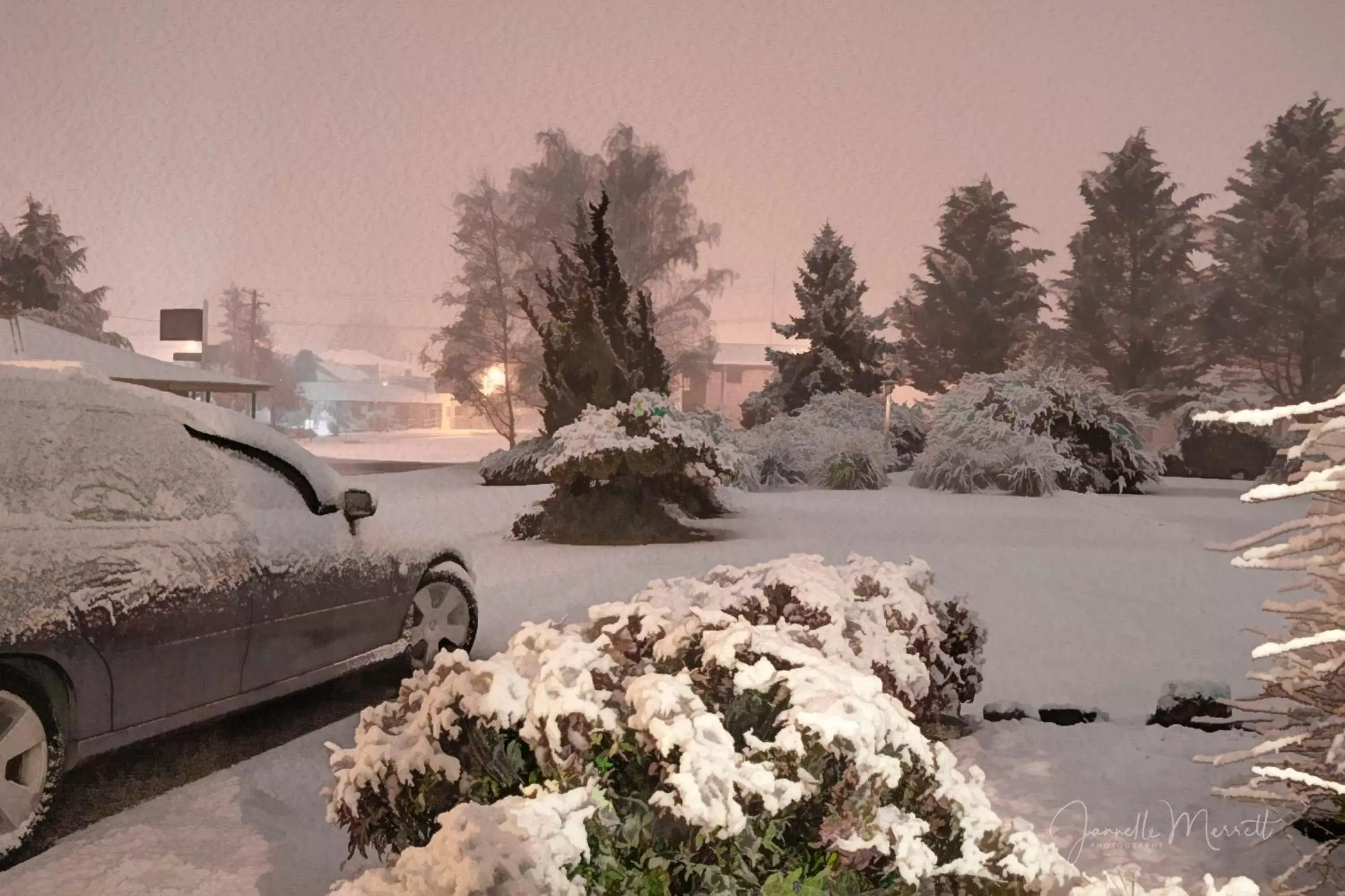 Natural landscape, Winter in Highlands Motor Inn