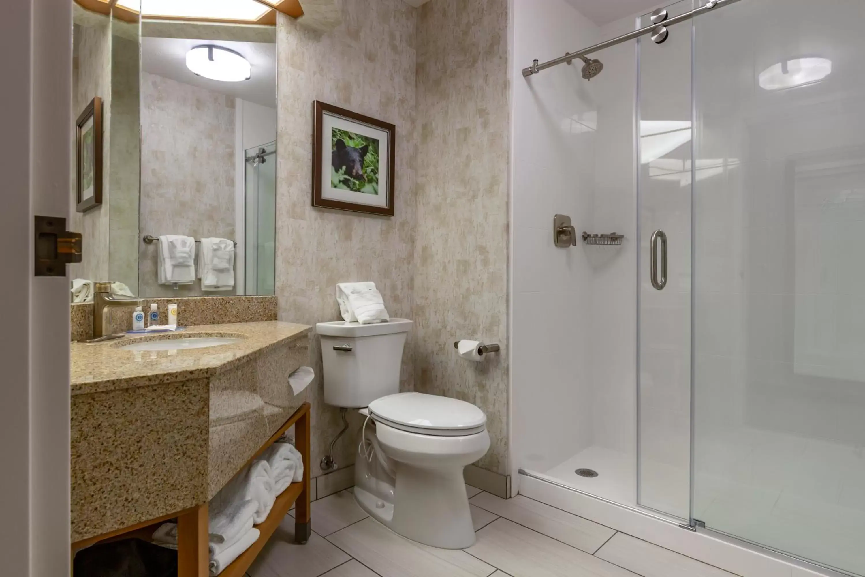 Bathroom in Comfort Inn