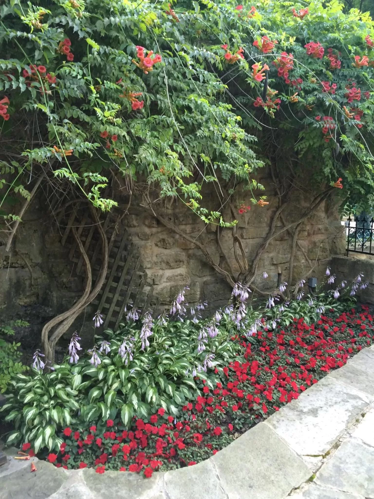 Garden in Riverboat Suites