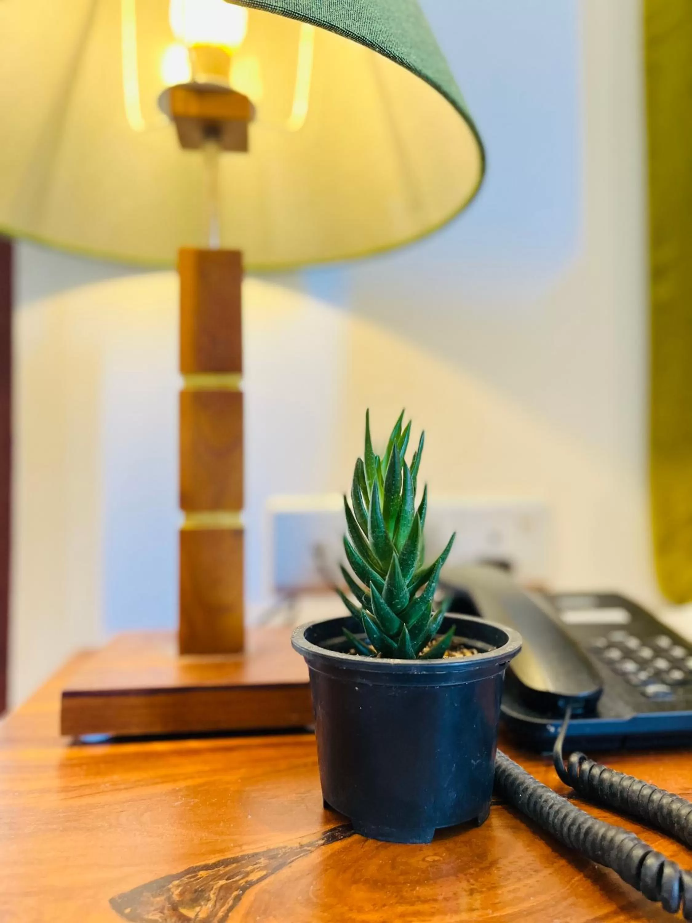 hair dresser in J leaf Hotel by Blue Bird