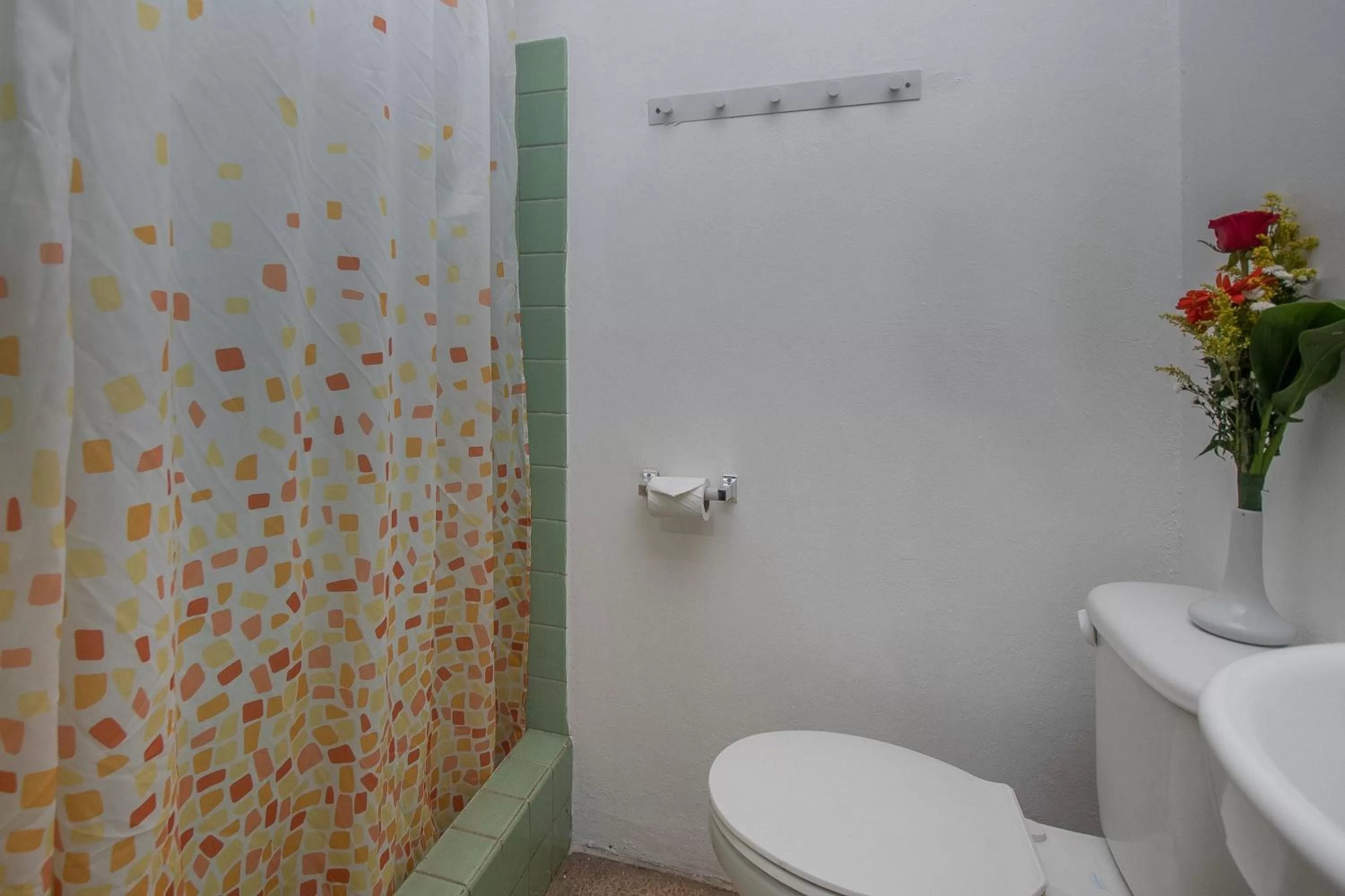 Shower, Bathroom in Hotel Cañas