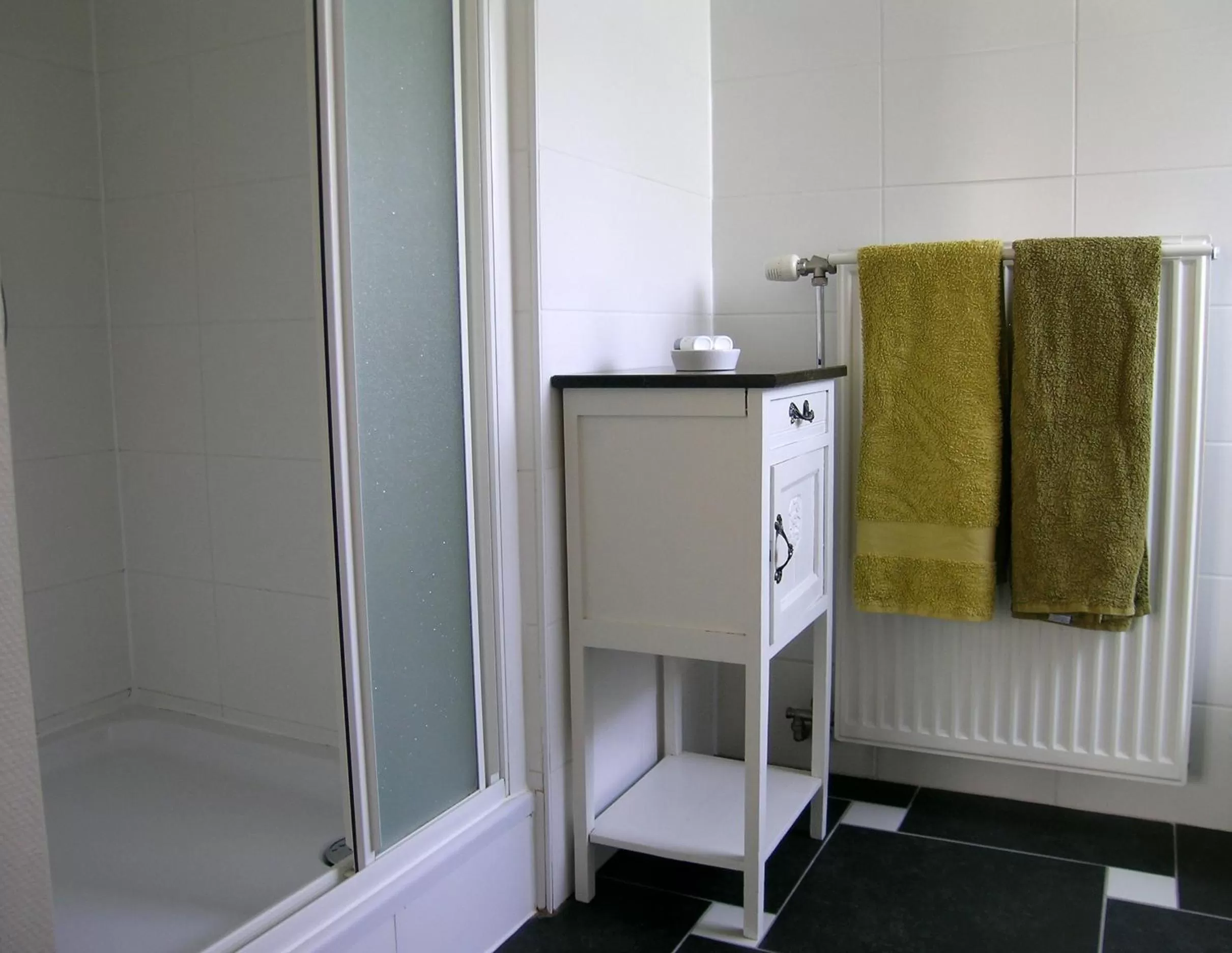 Shower in B&B De Passant