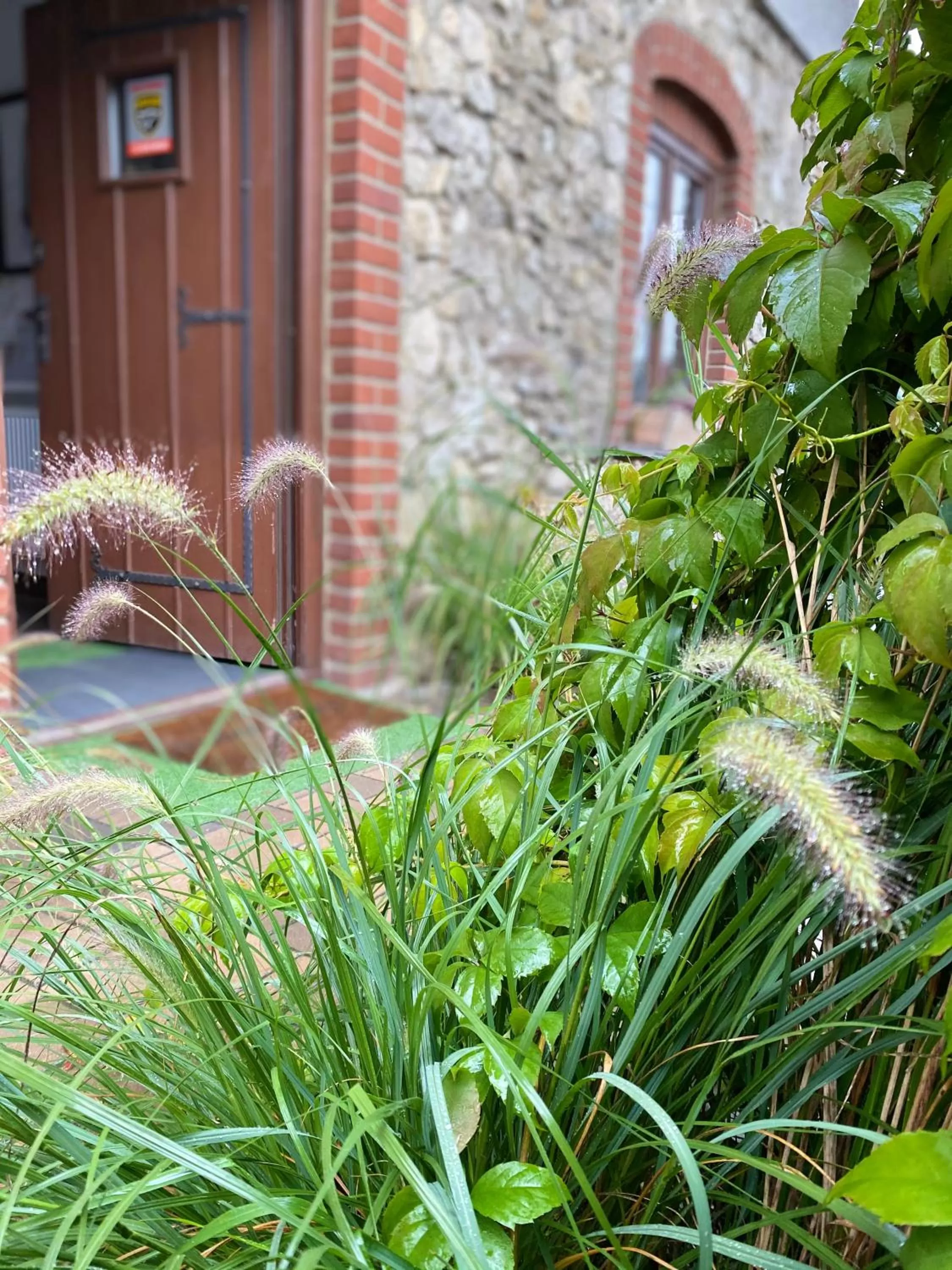 Garden in Pokoje w Starej Karczmie - by Upstairs