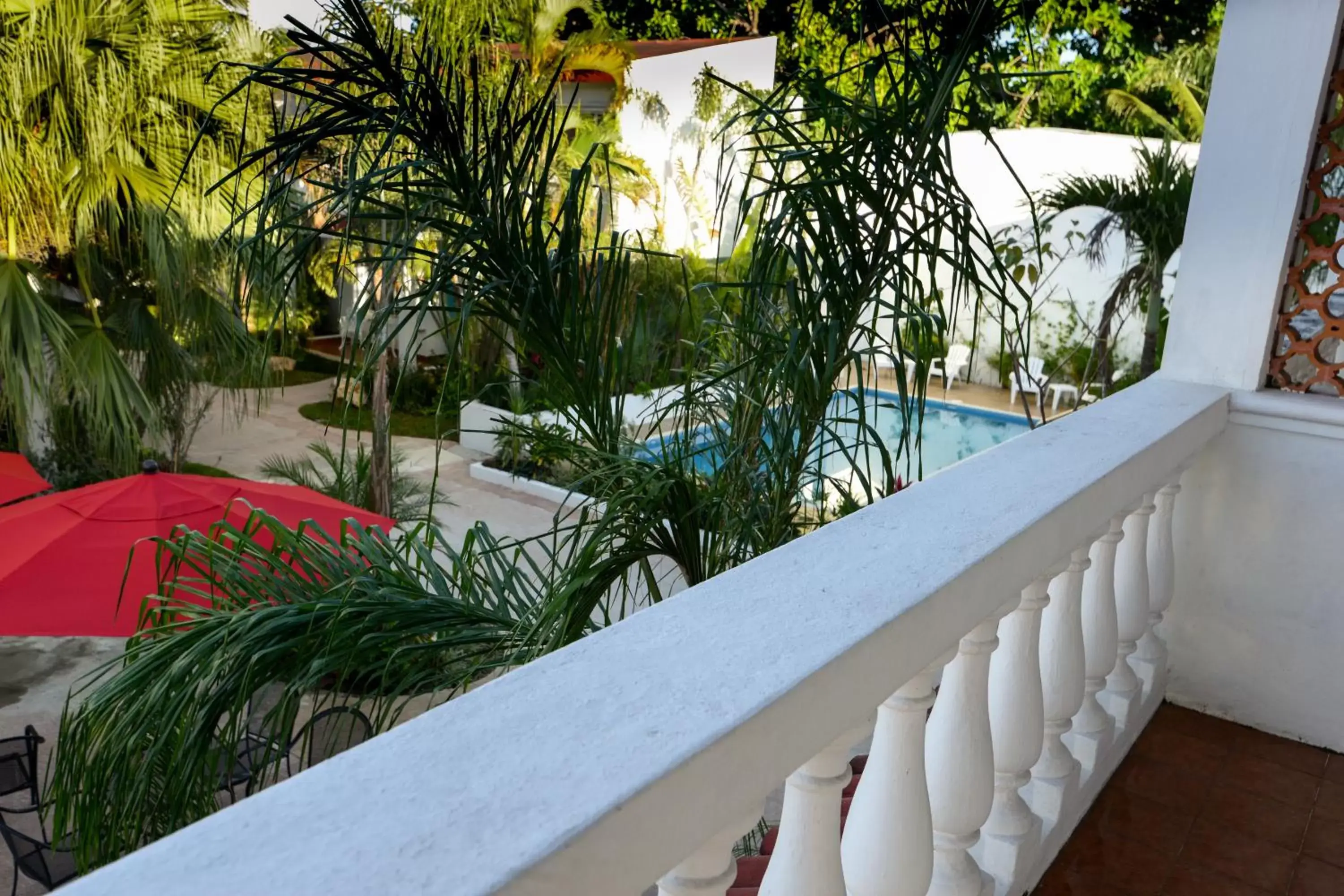 Balcony/Terrace in Hotel Villas Colibrí Suites & Bungalows