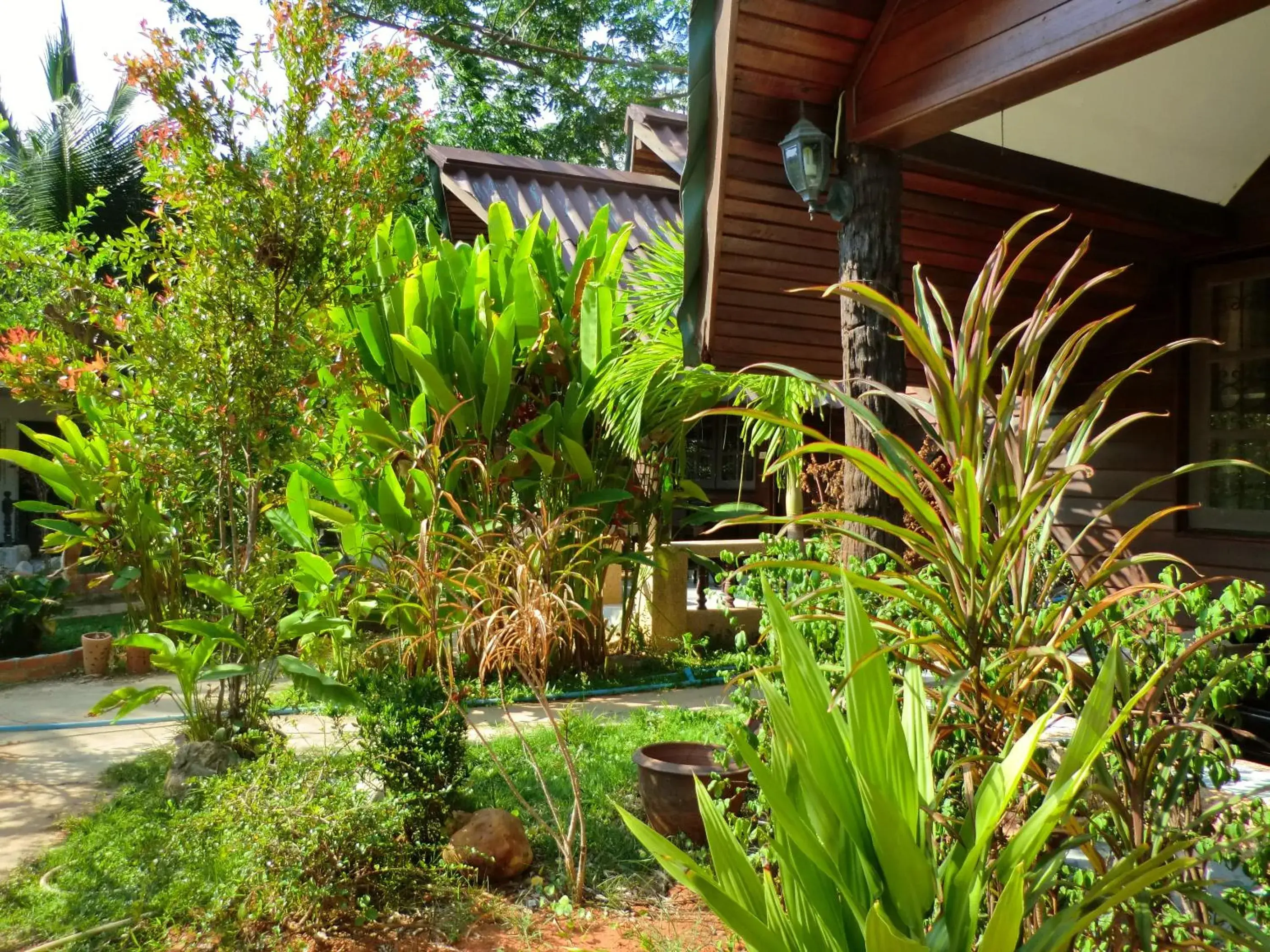 Garden in The Krabi Forest Homestay