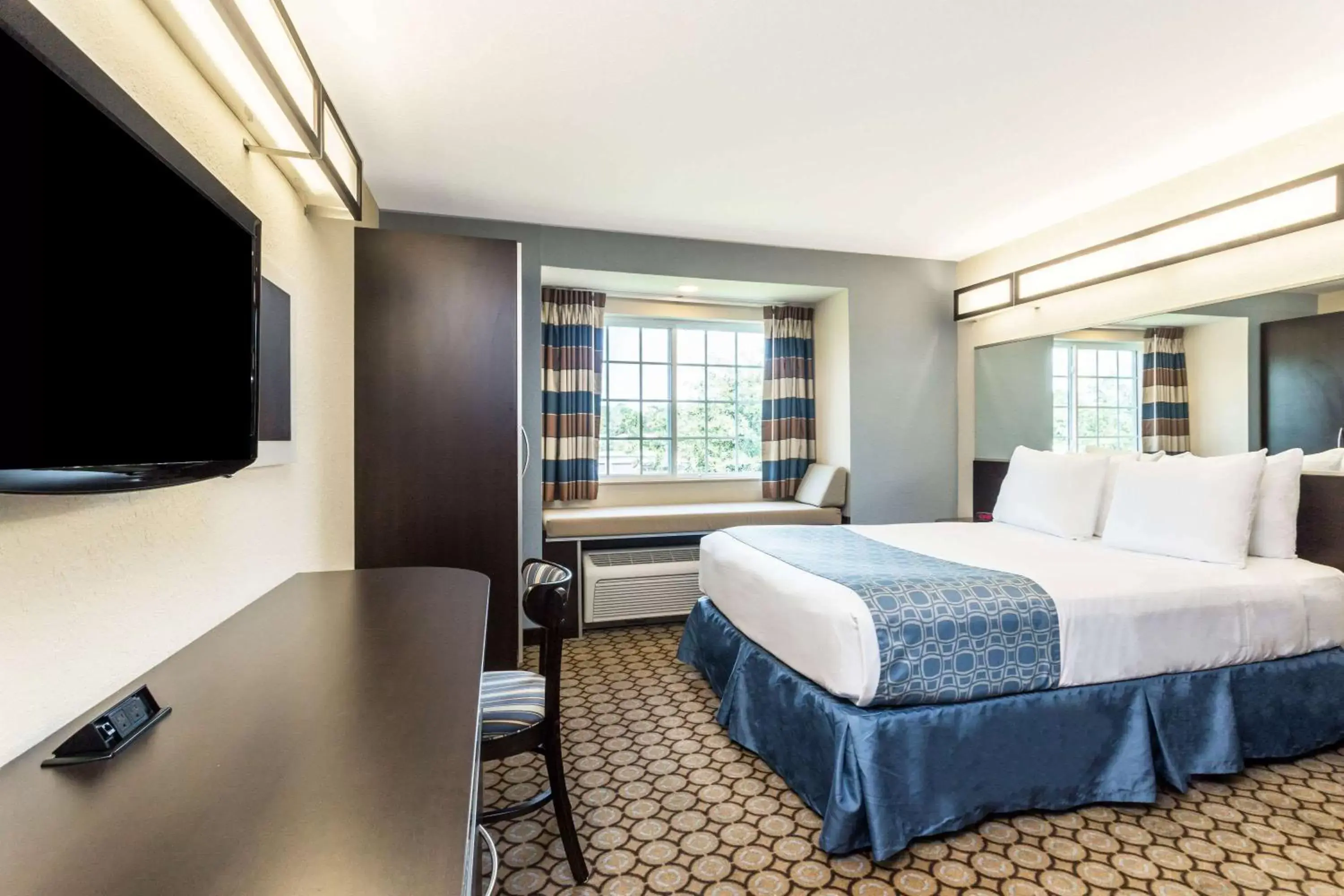 Photo of the whole room, Bed in Microtel Inn & Suites by Wyndham Spring Hill/Weeki Wachee