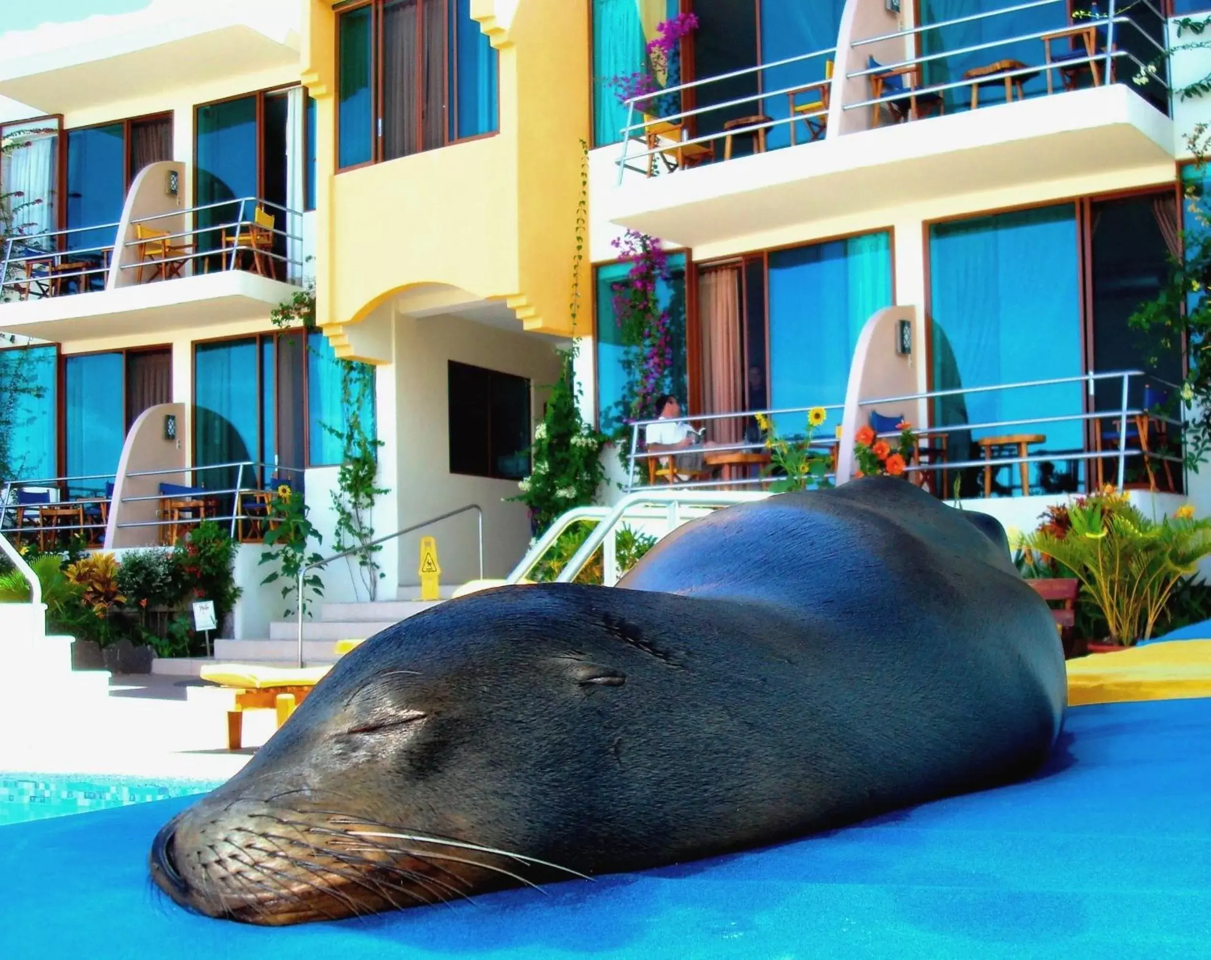 View (from property/room) in Hotel Solymar View (from property/room) in Hotel Solymar