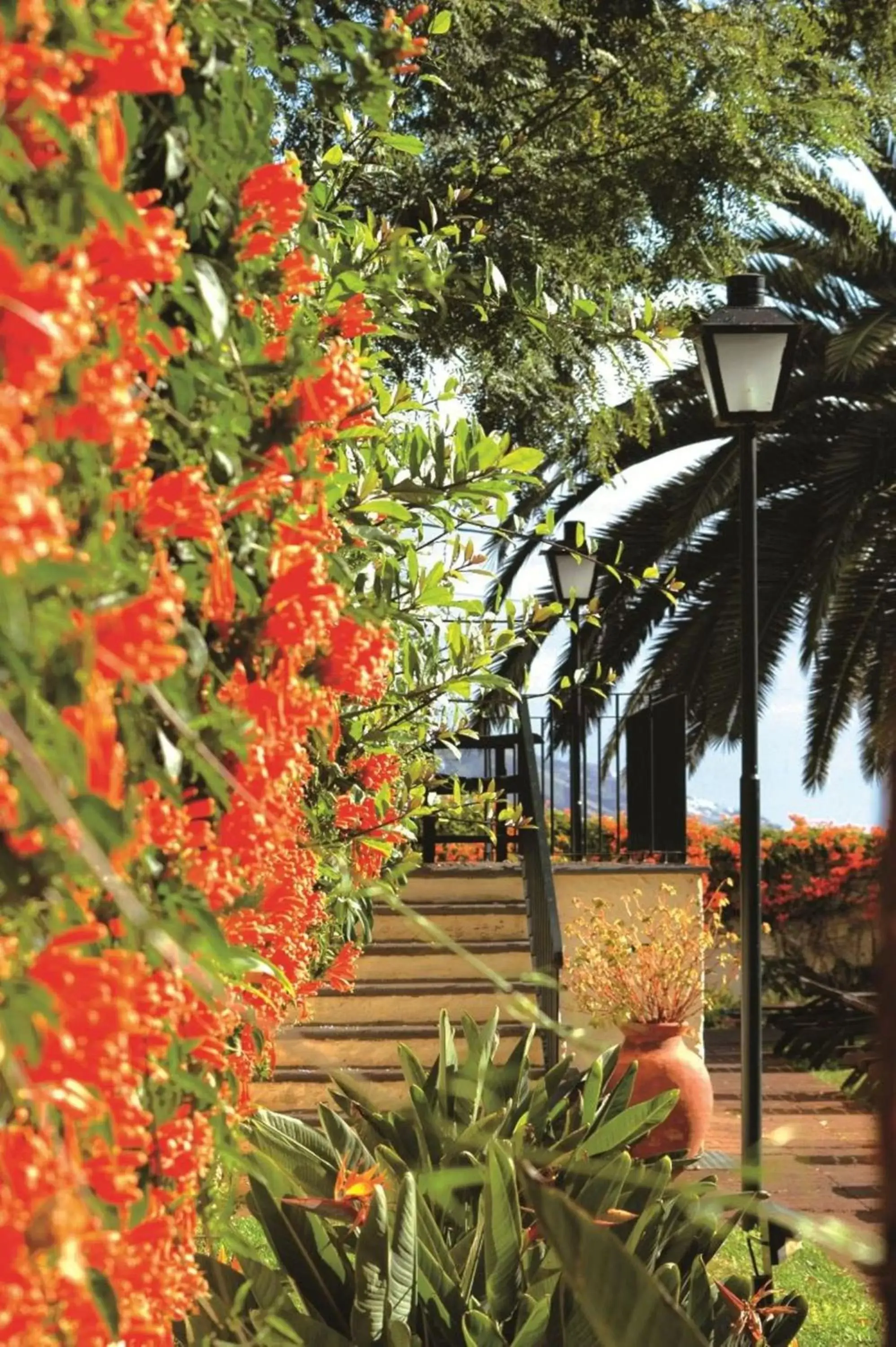 Facade/entrance, Garden in Quinta da Bela Vista