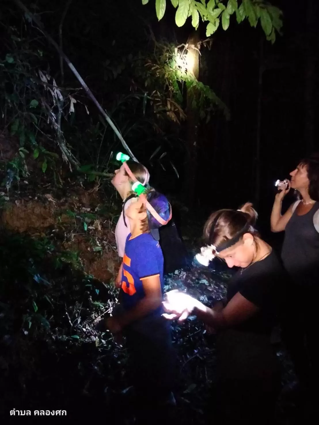 Khaosok Rainforest Resort