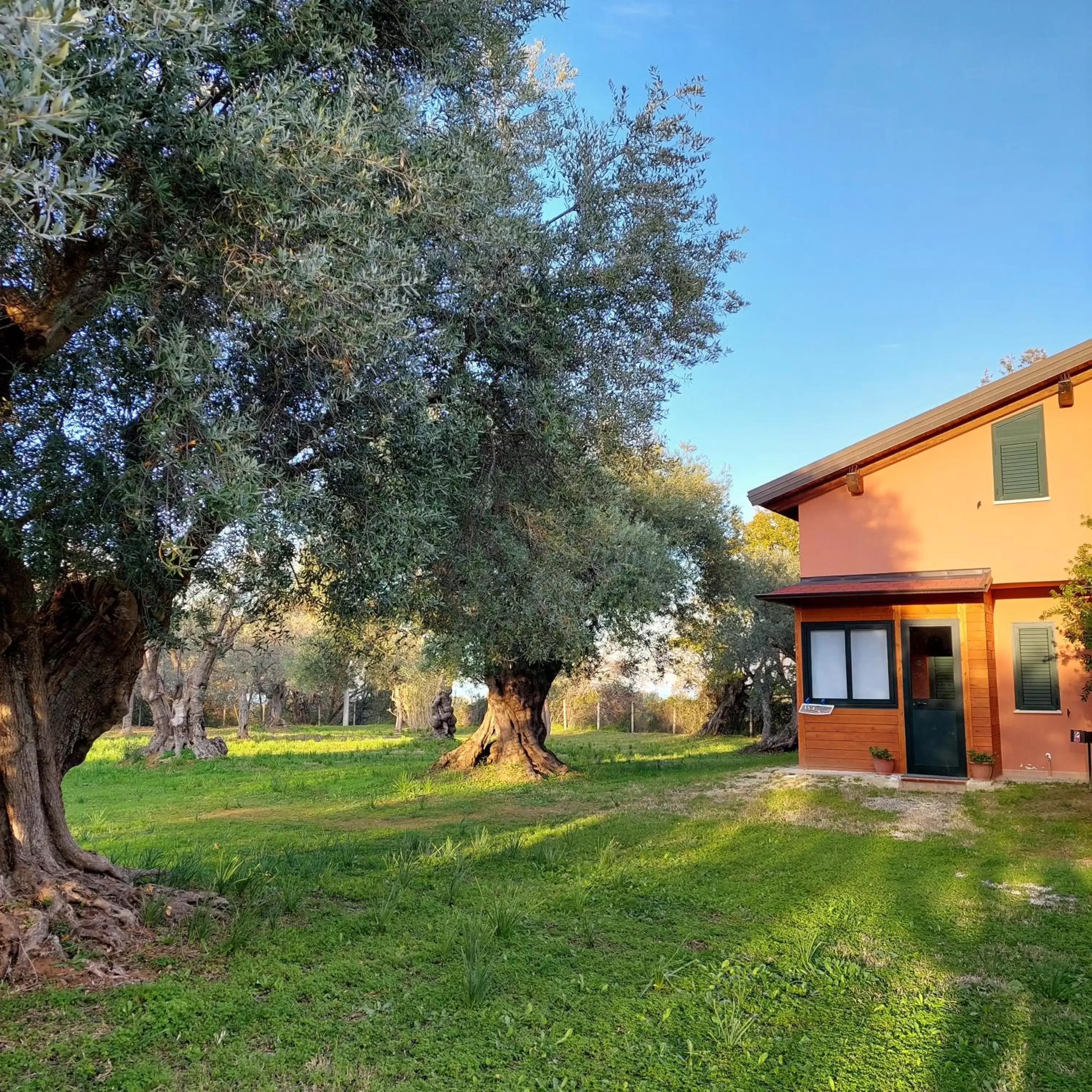 View (from property/room), Property Building in La Piana degli Ulivi