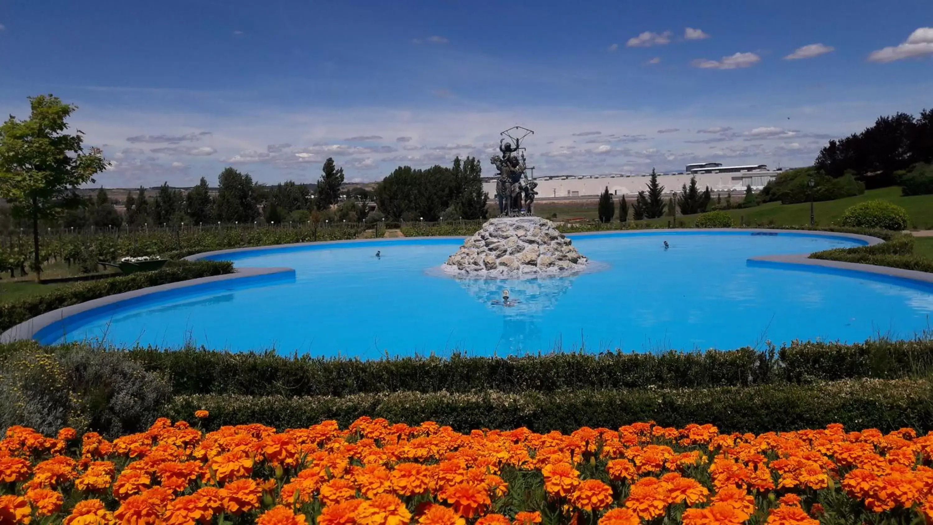Natural landscape, Swimming Pool in Hotel Torremilanos