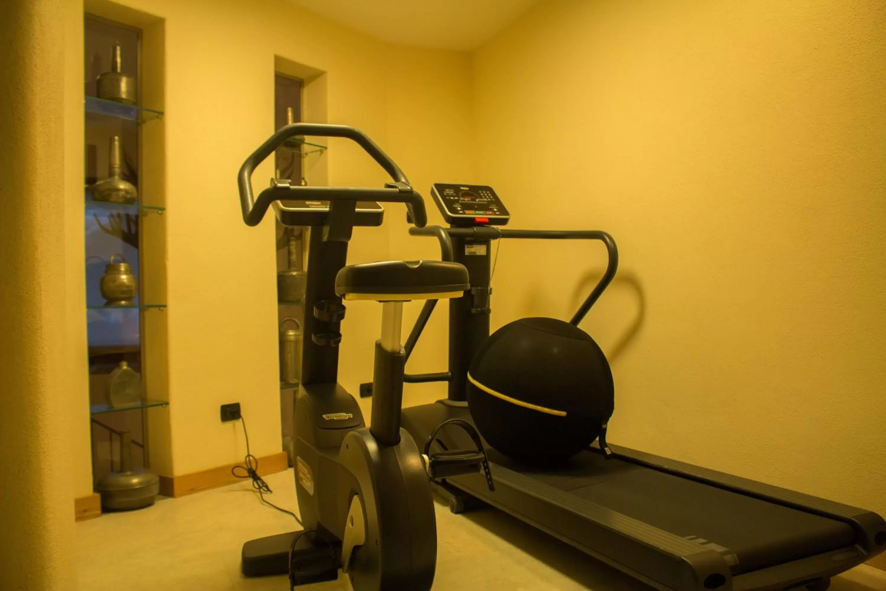 Fitness centre/facilities, Fitness Center/Facilities in Auberge de La Maison