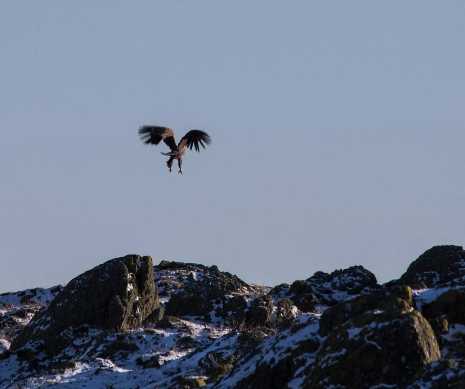 Sports in Hummeren Hotel