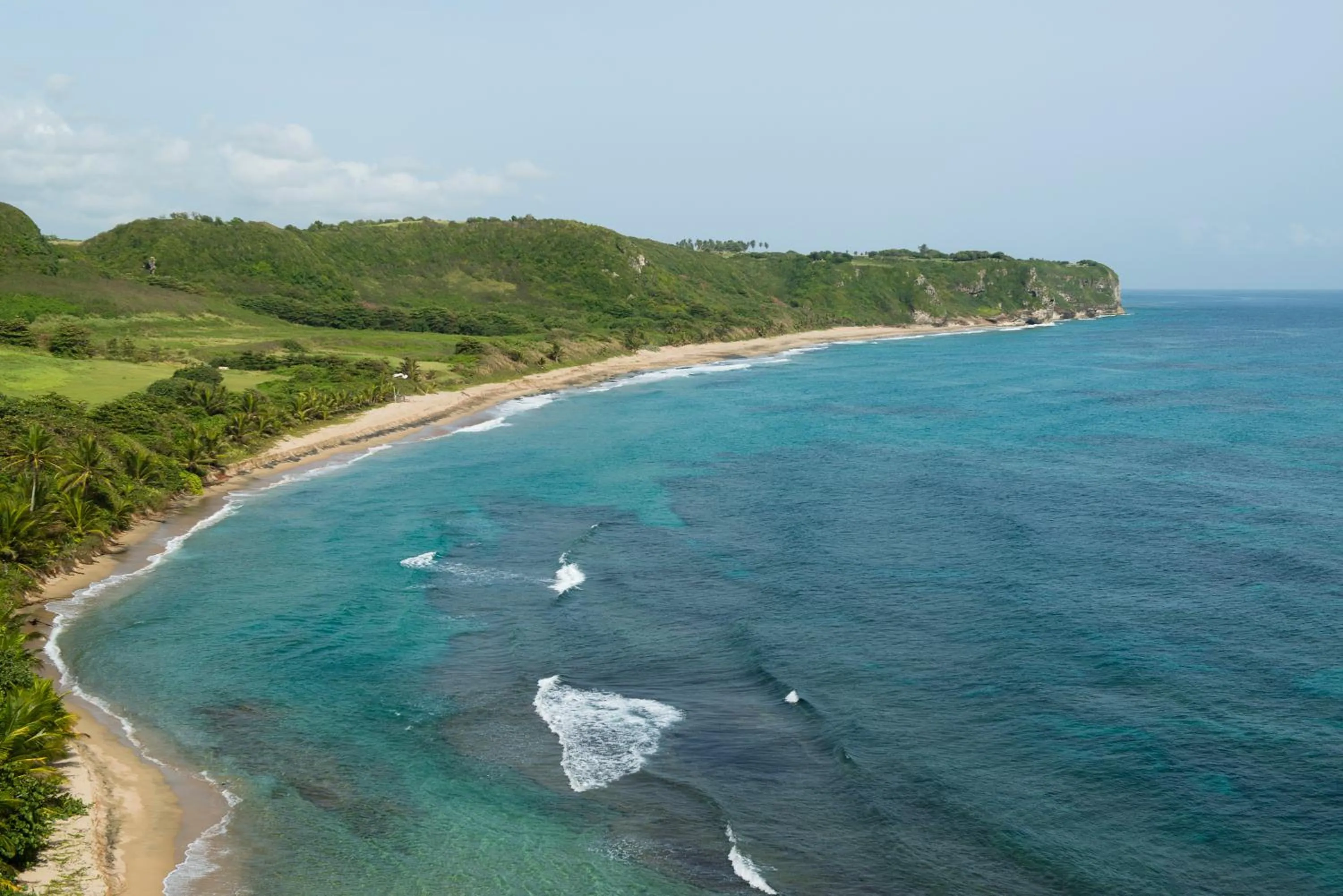 Day in Royal Isabela